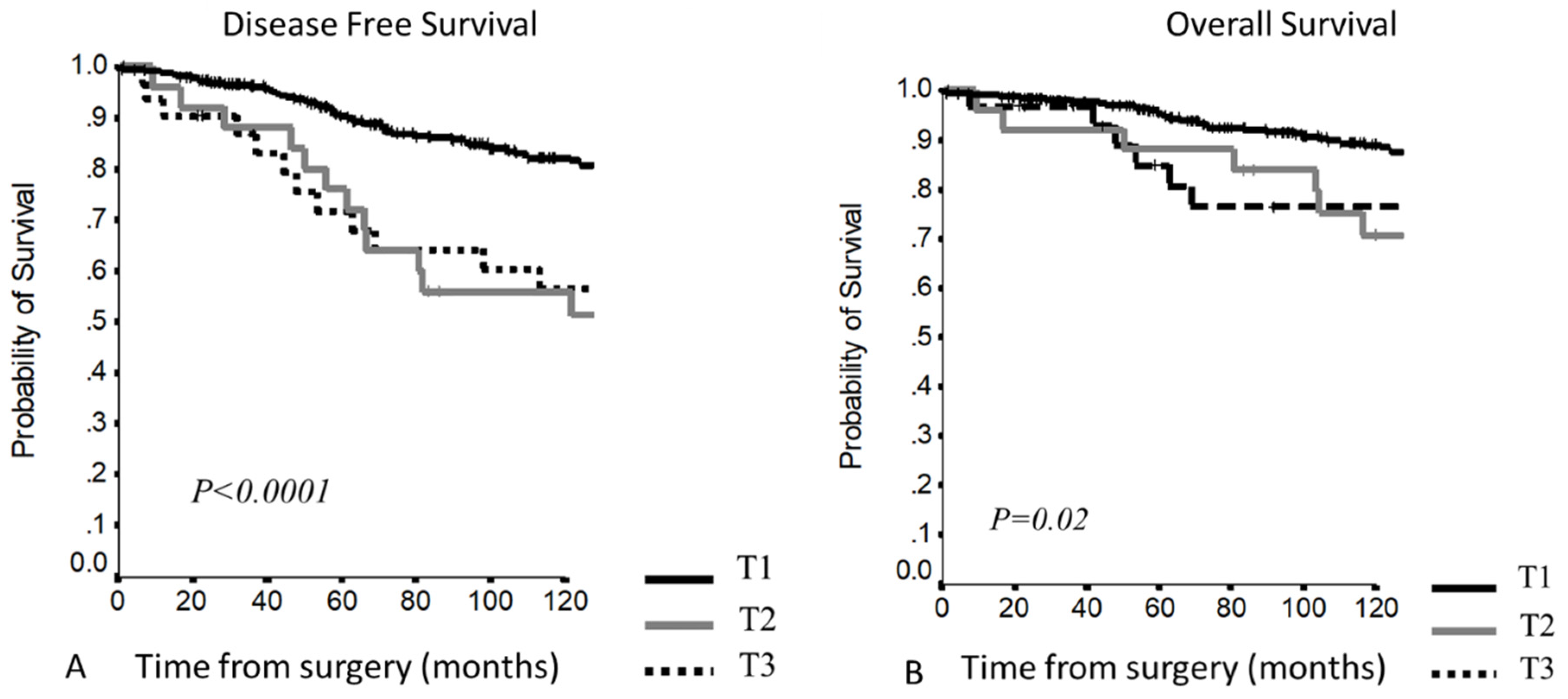 Cancers 13 05254 g005 Cancers 13 05254 g005