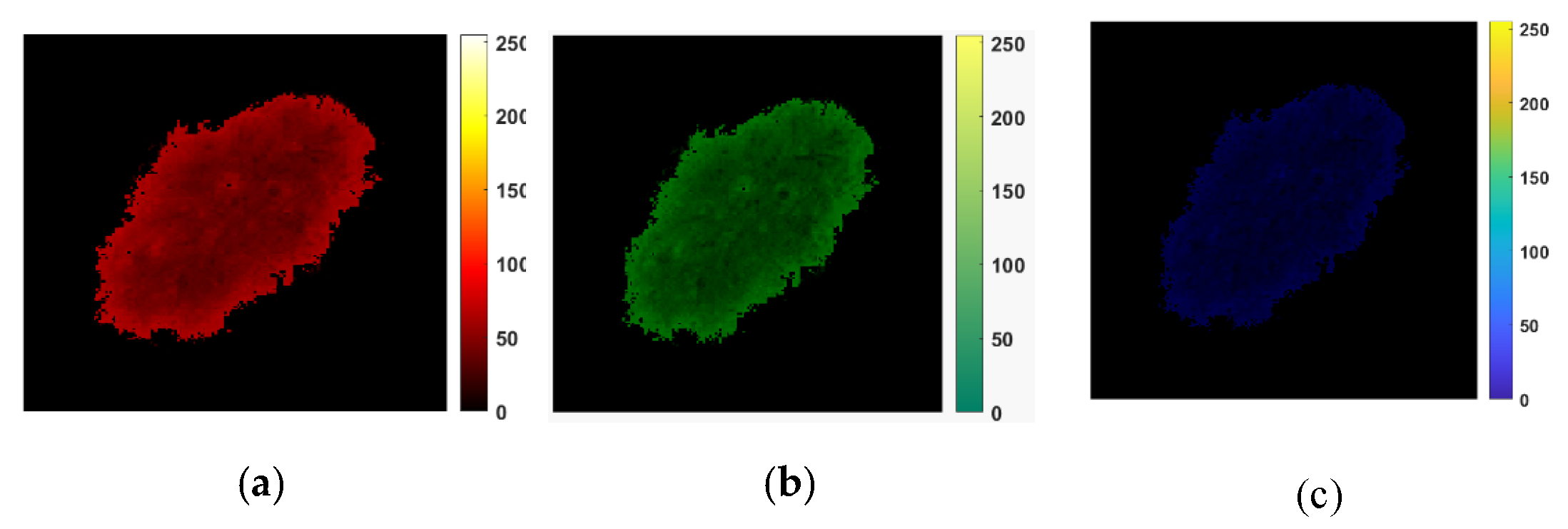 Cancers 13 05256 g004a