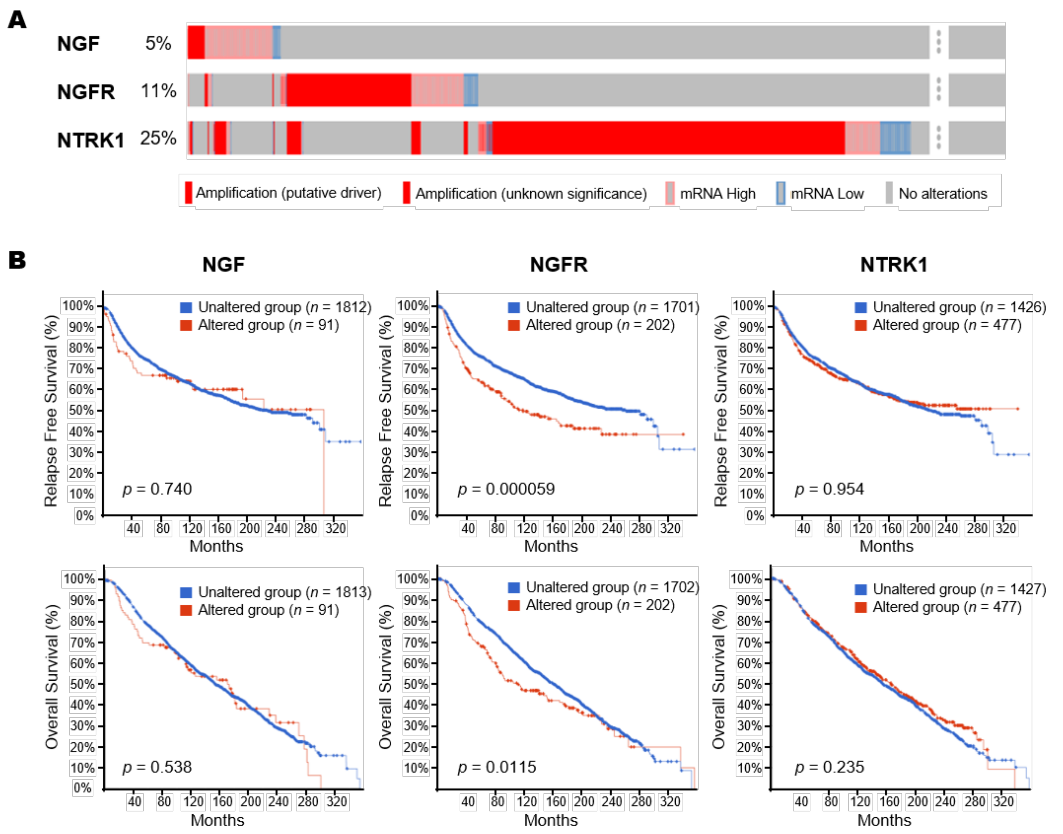 Cancers 13 05260 g005