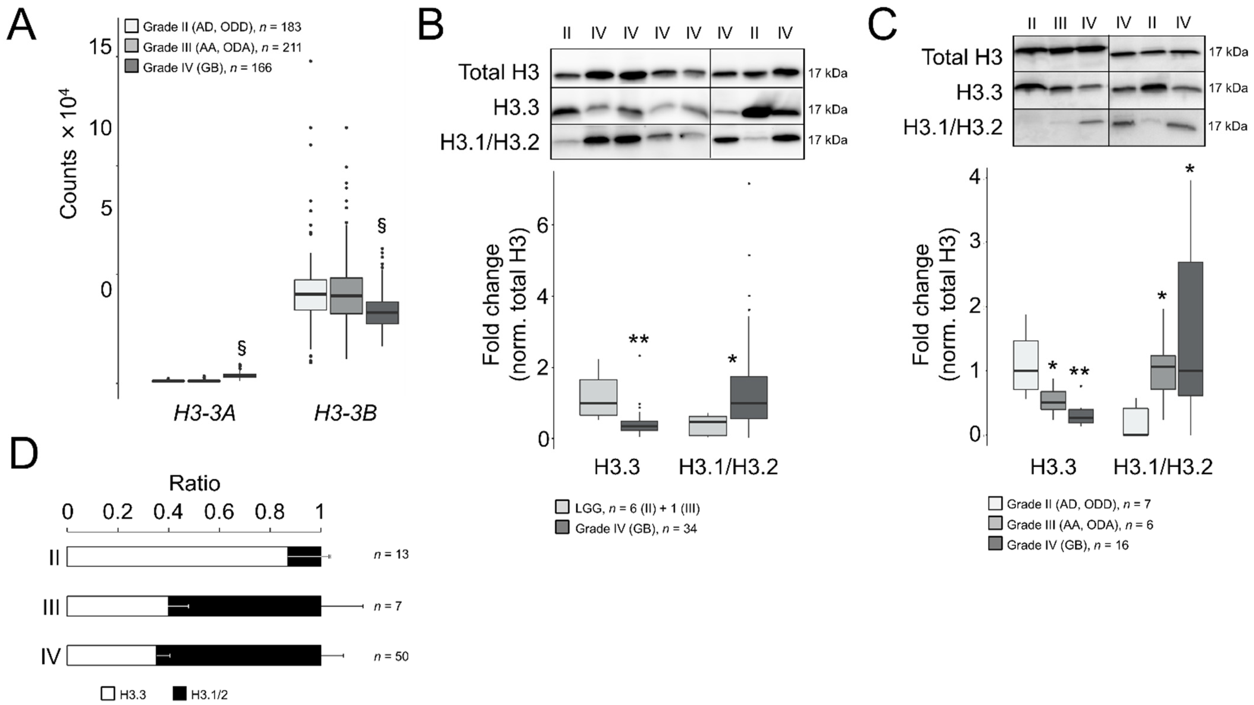 Cancers 13 05261 g001
