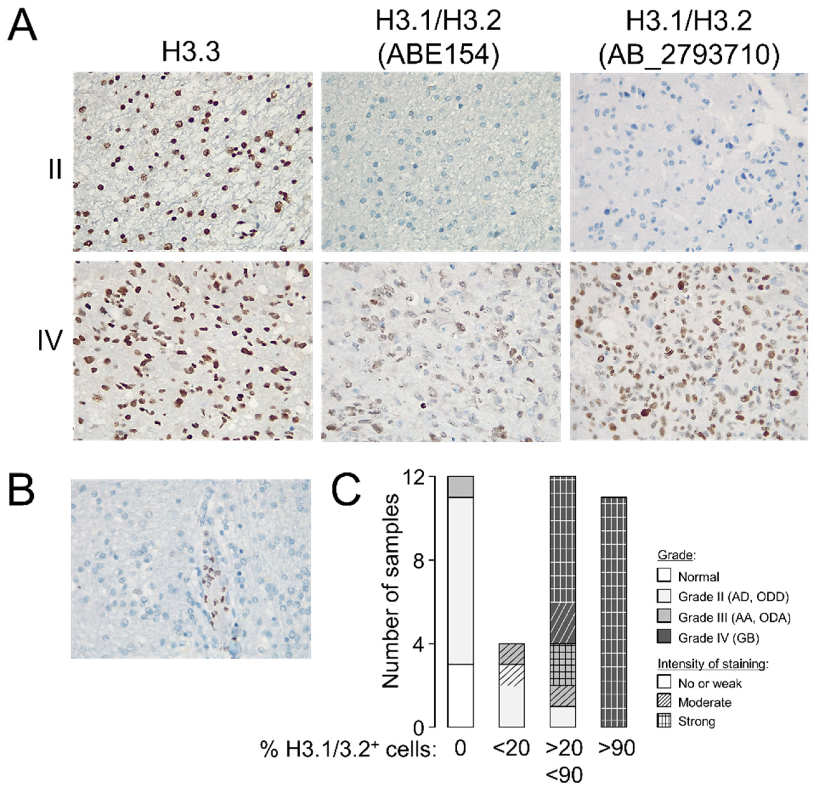 Cancers 13 05261 g002