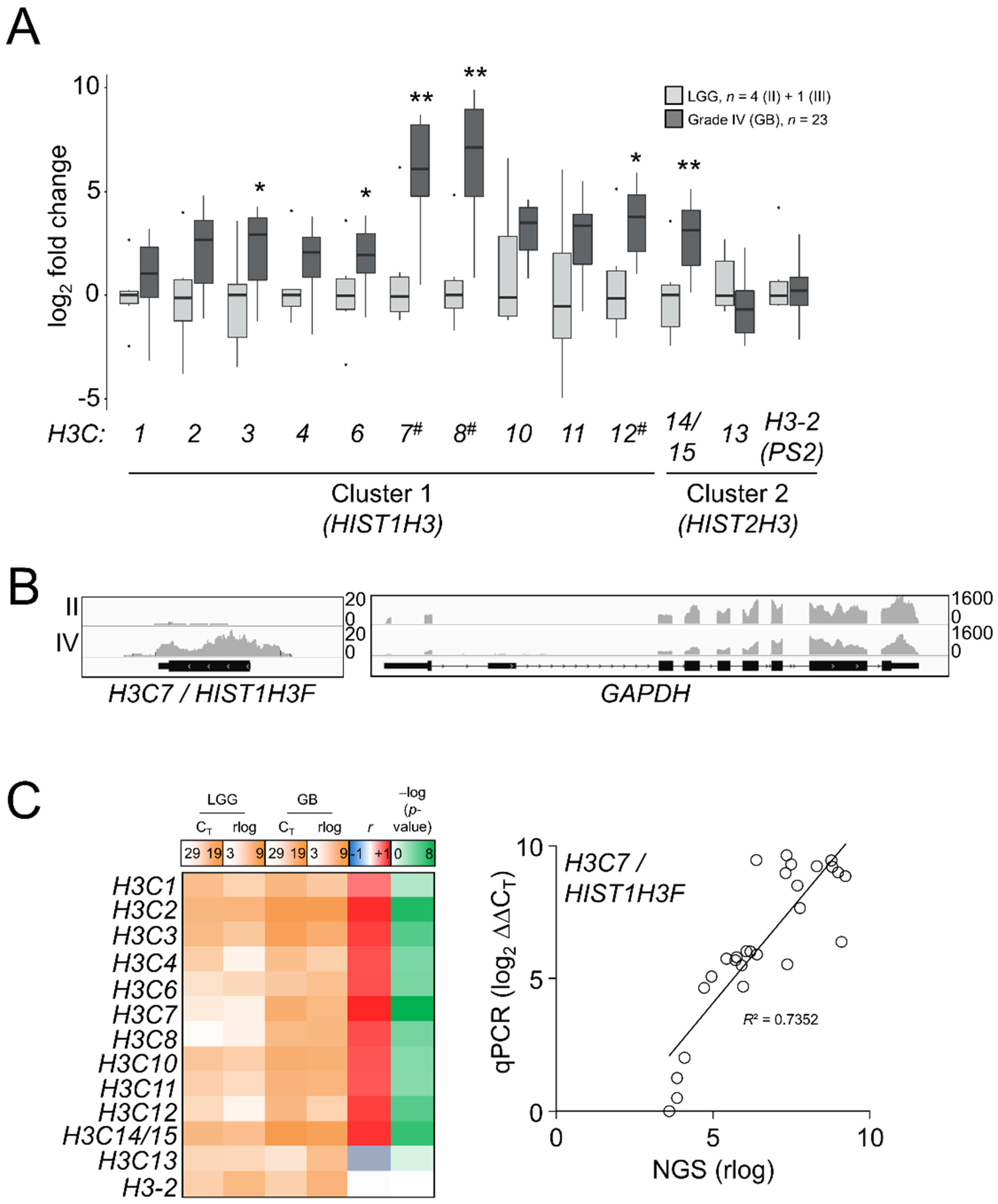 Cancers 13 05261 g004
