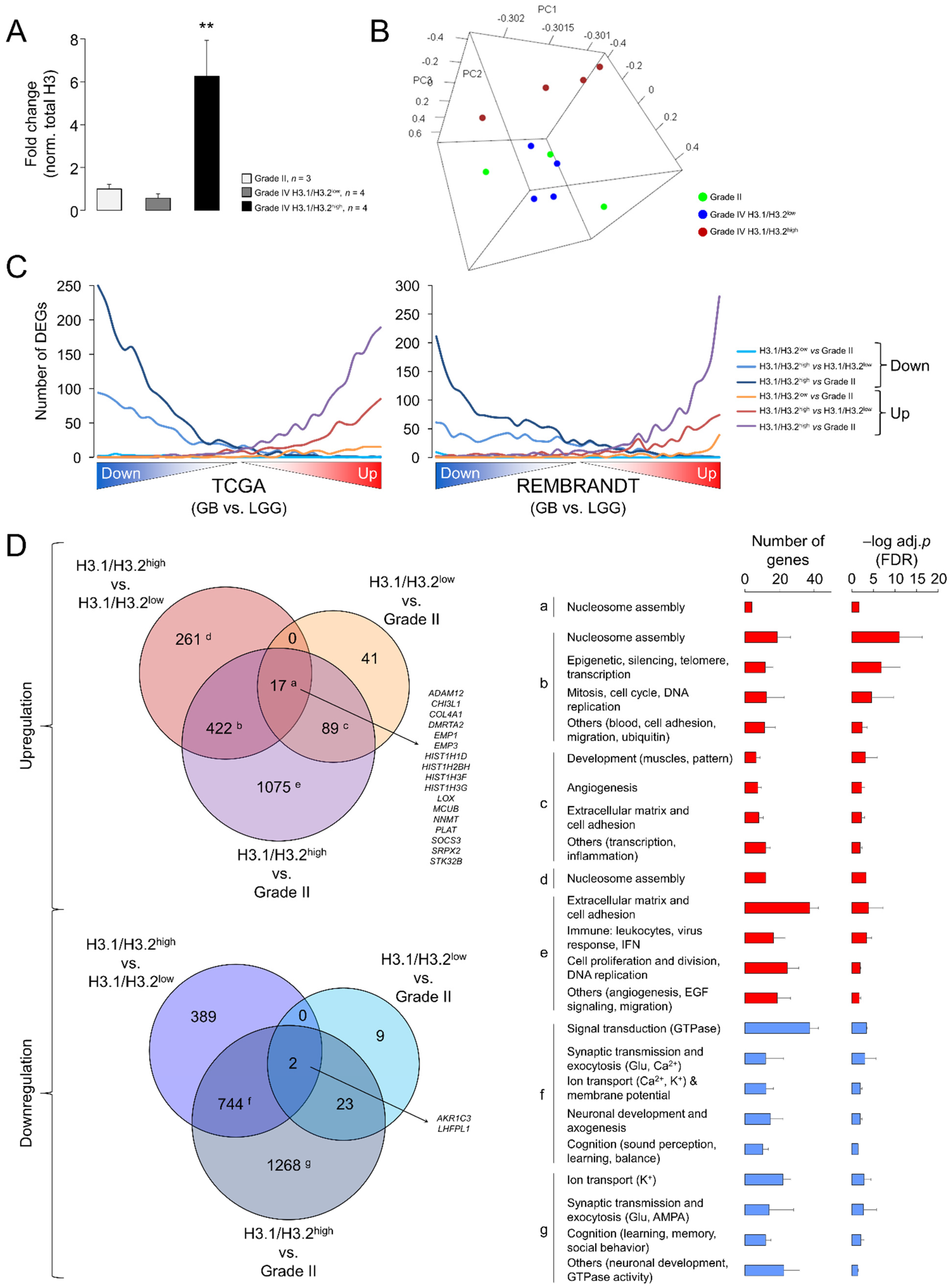 Cancers 13 05261 g005