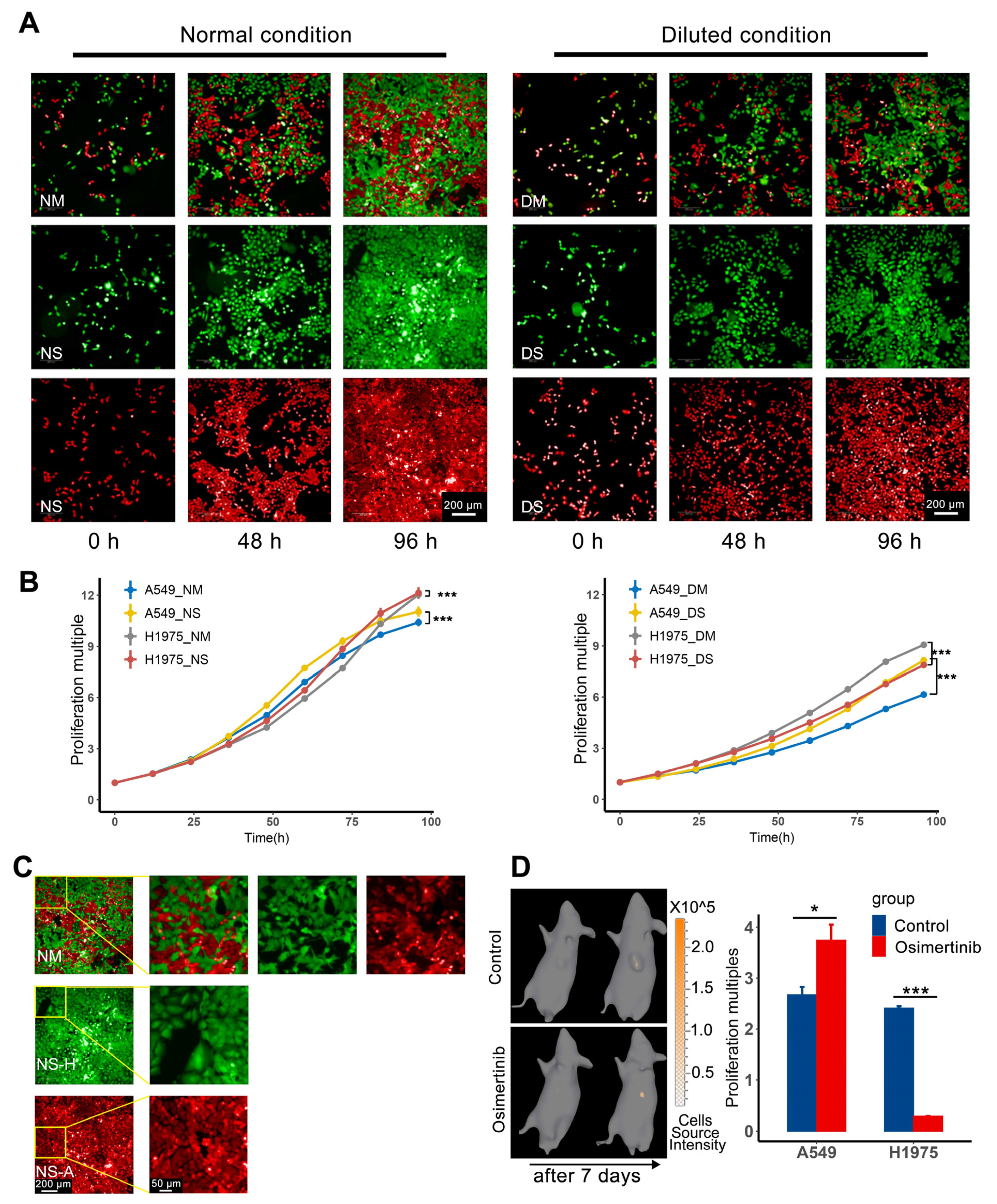 Cancers 13 05262 g001 550