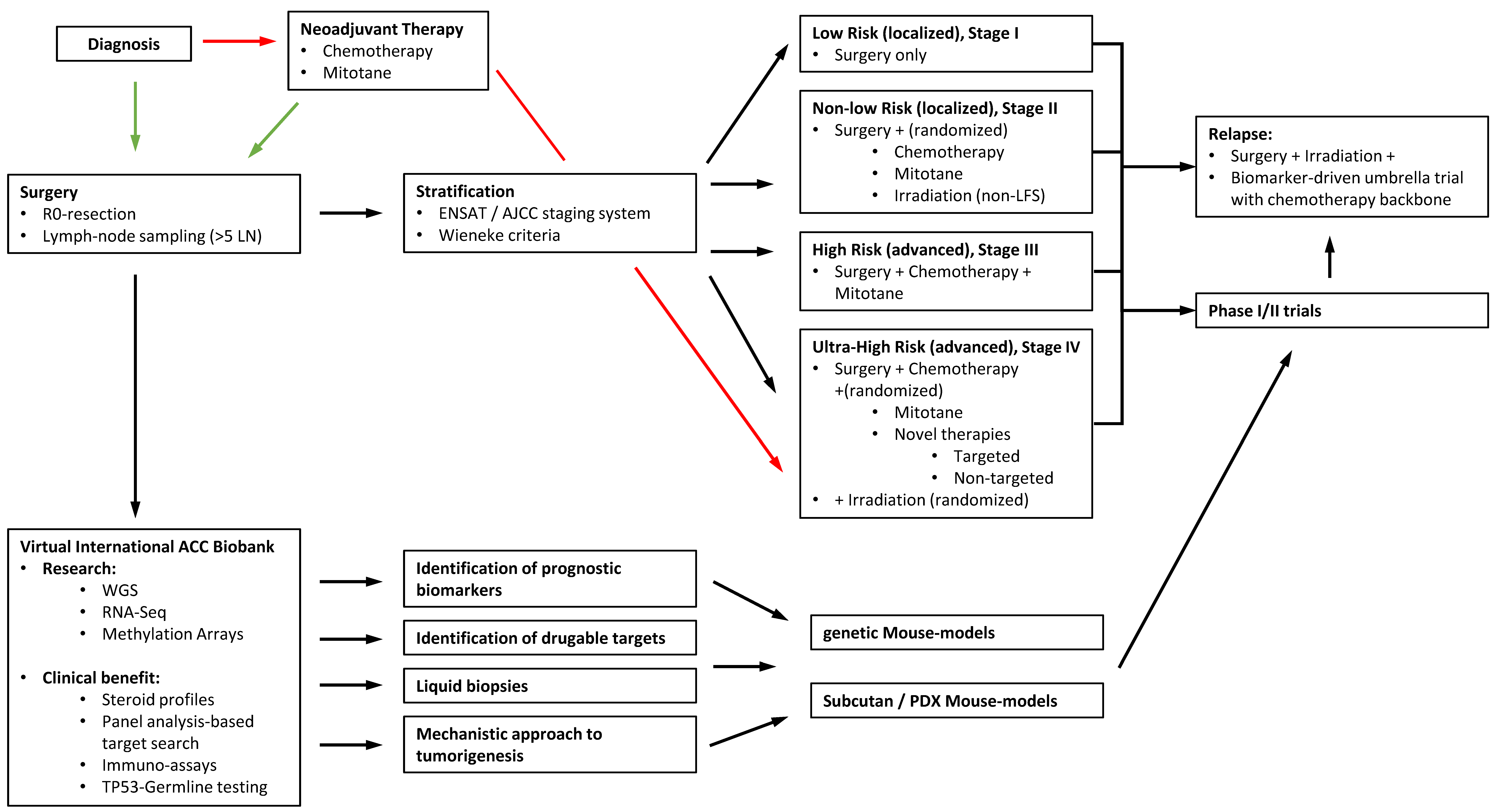 Cancers 13 05266 g003 Cancers 13 05266 g003