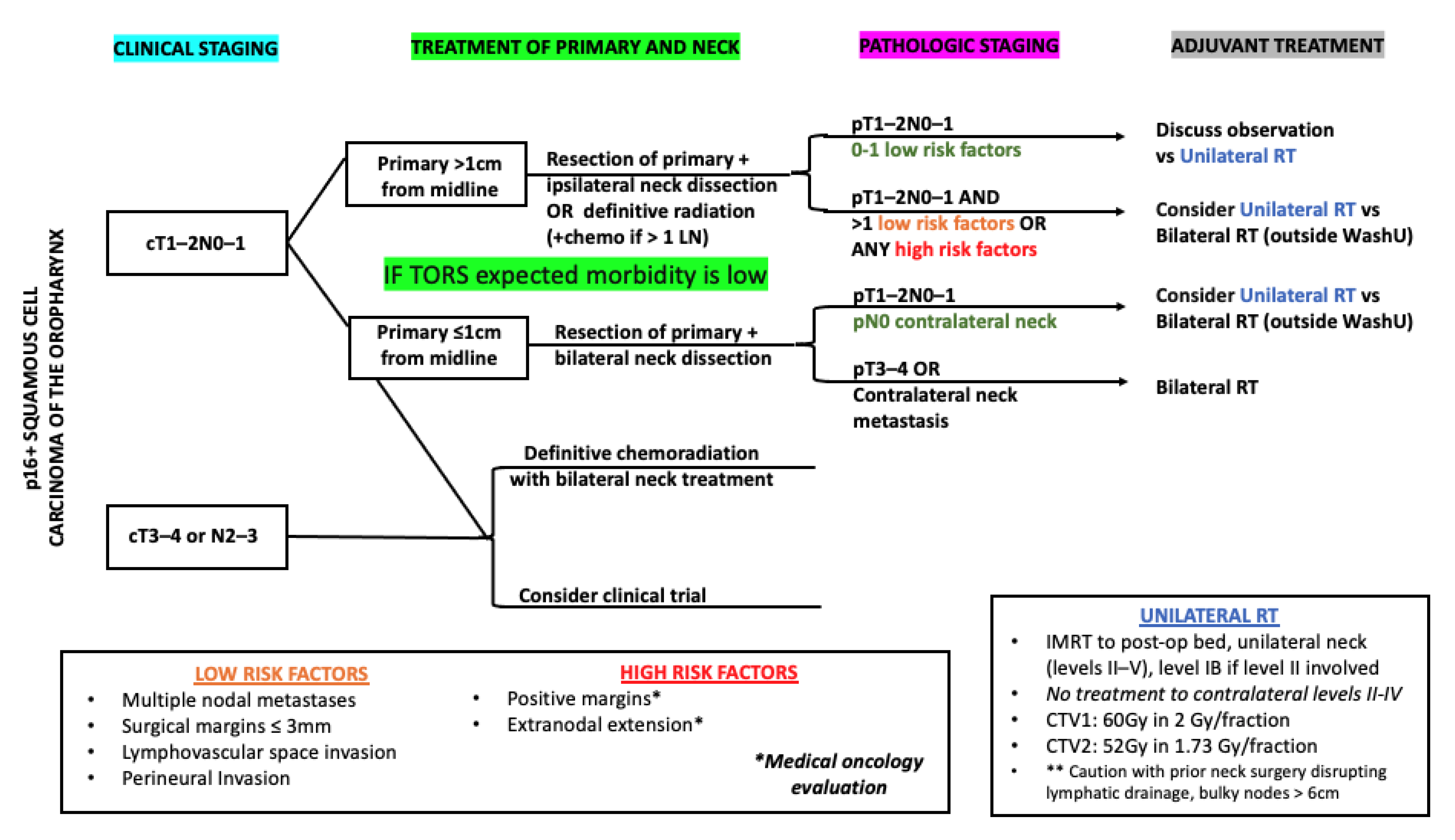Cancers 13 05269 g001