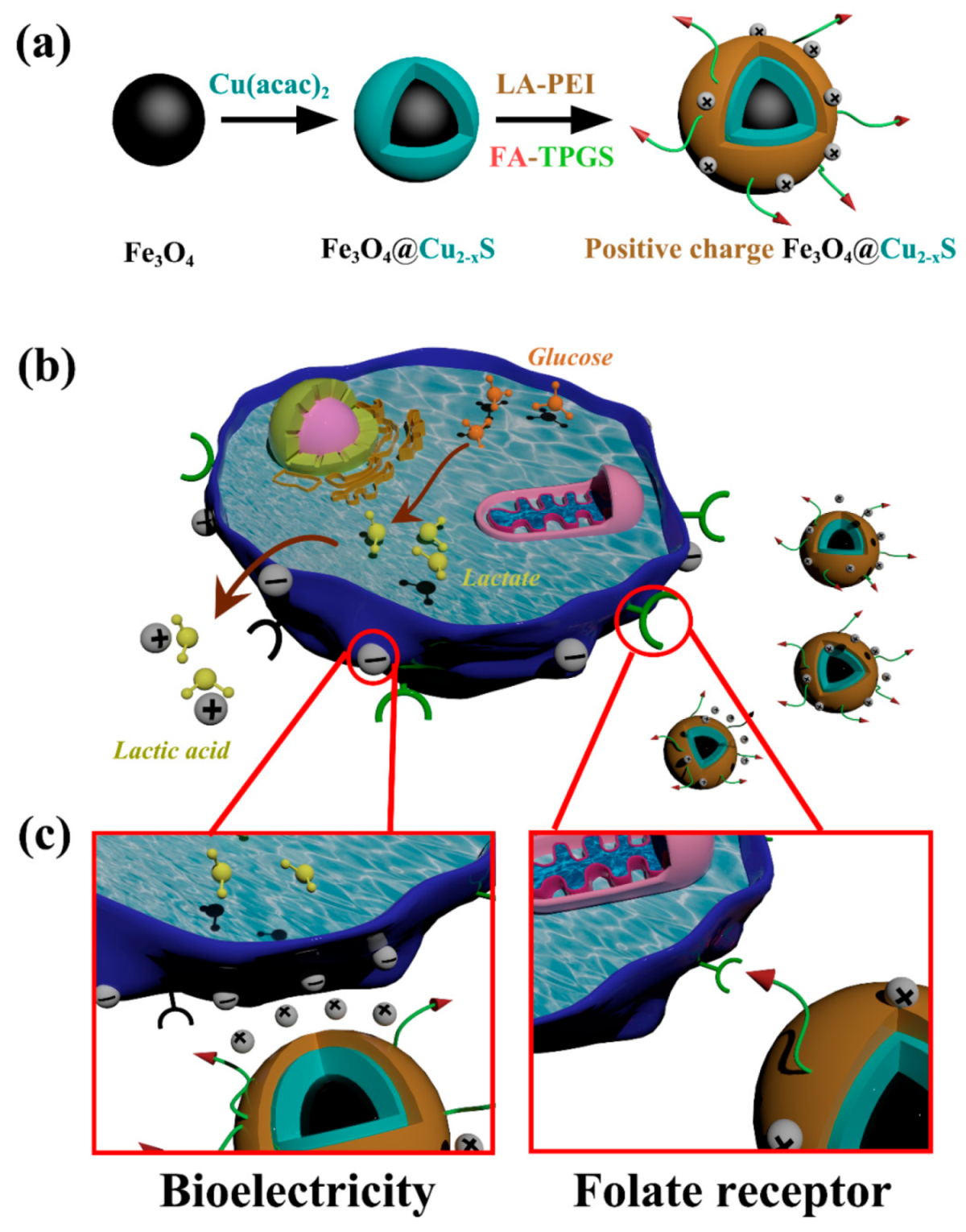 Cancers 13 05275 g001