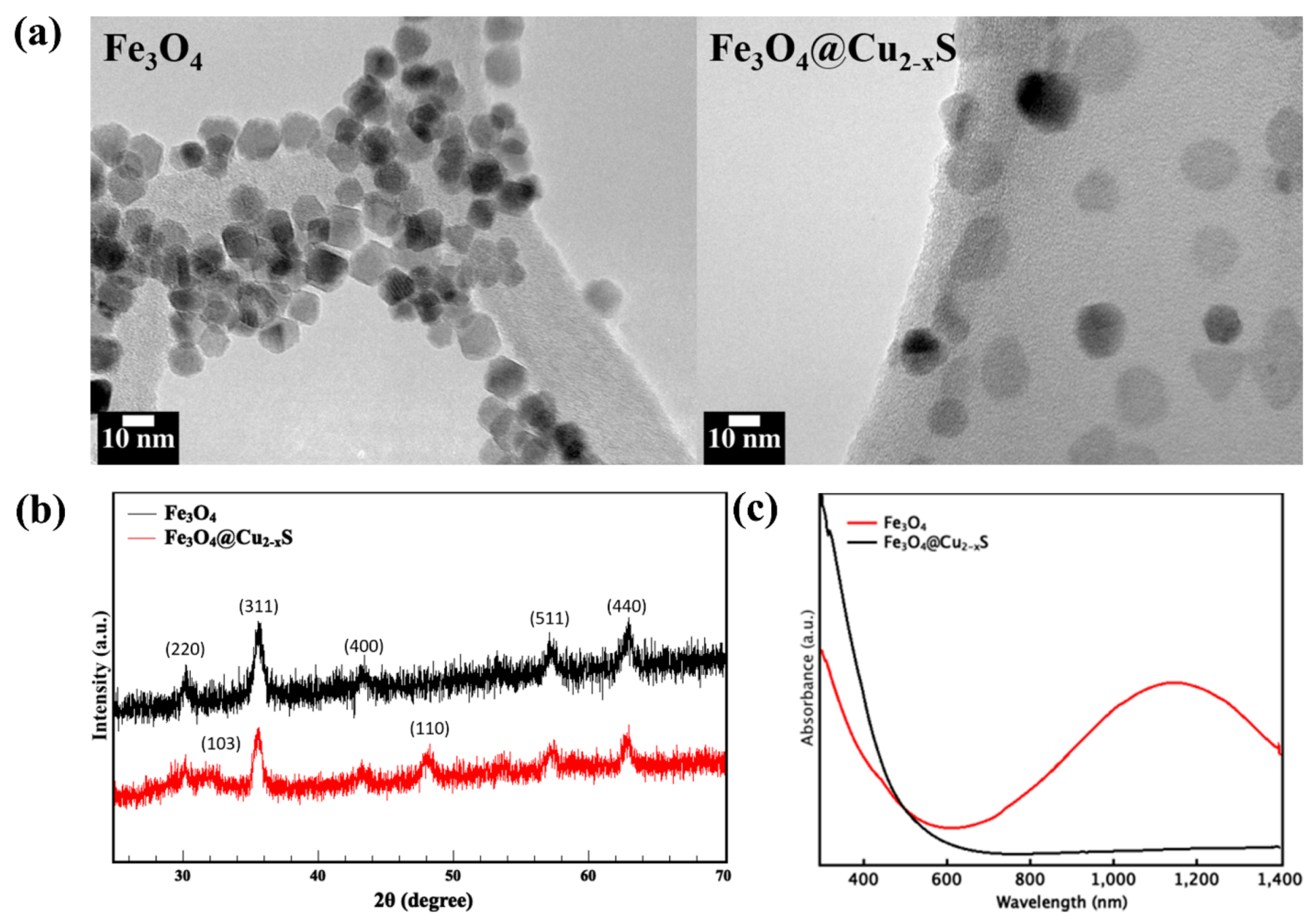 Cancers 13 05275 g002