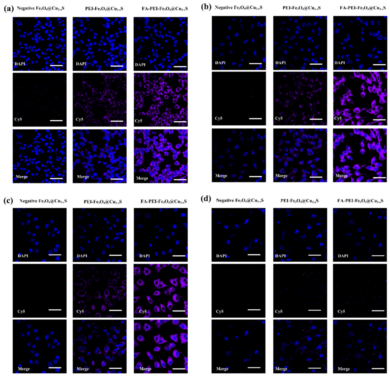 Cancers 13 05275 g005