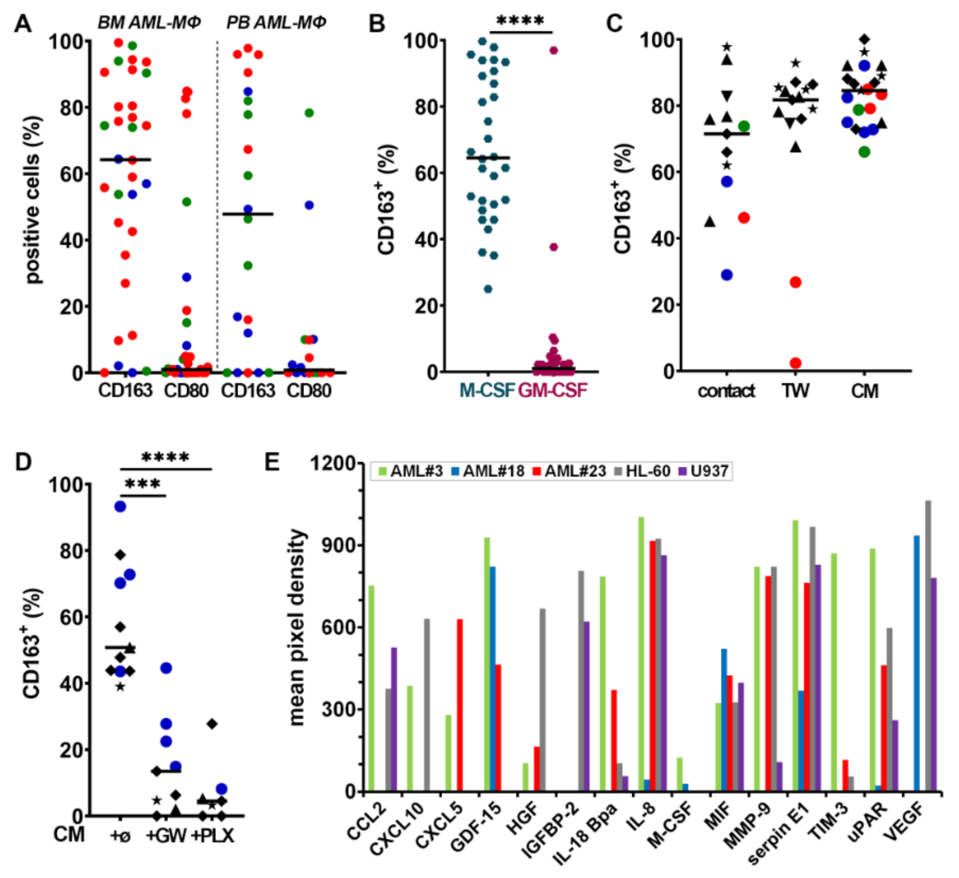Cancers 13 05289 g001