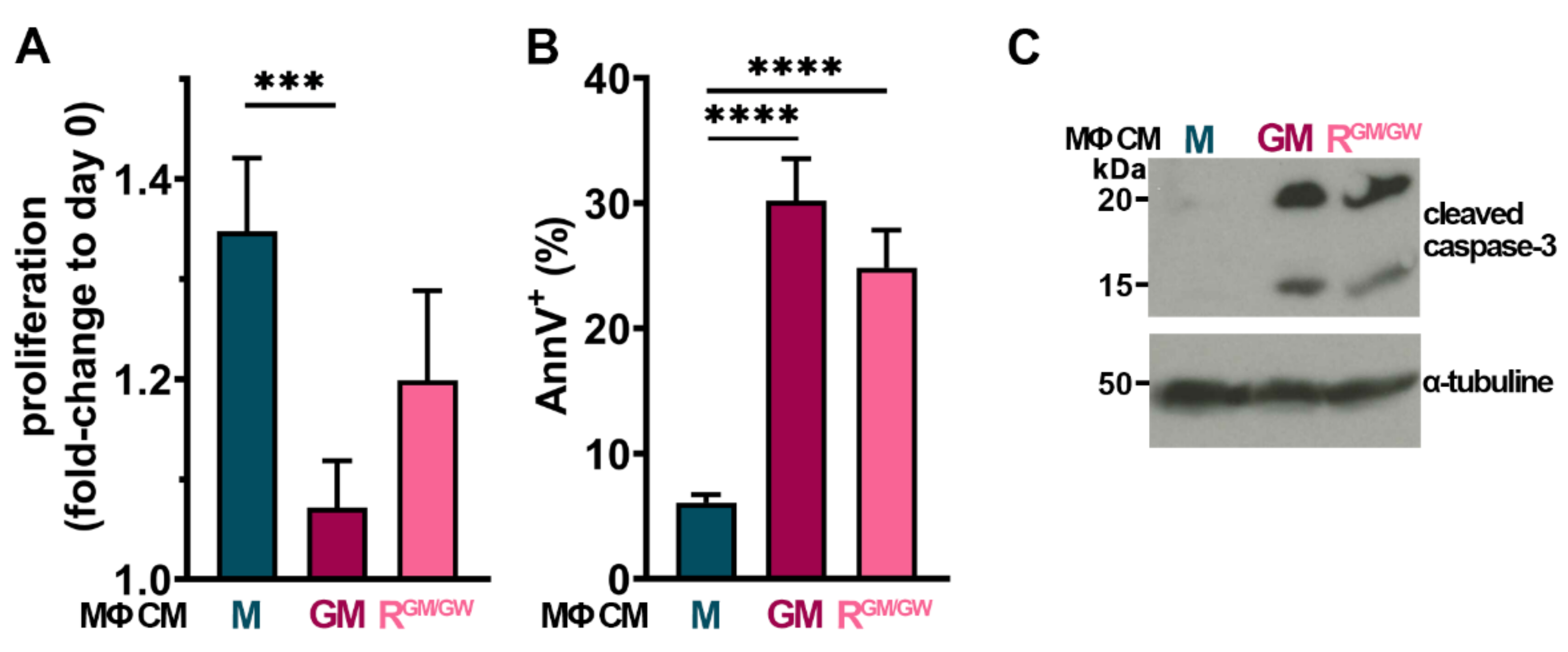 Cancers 13 05289 g006