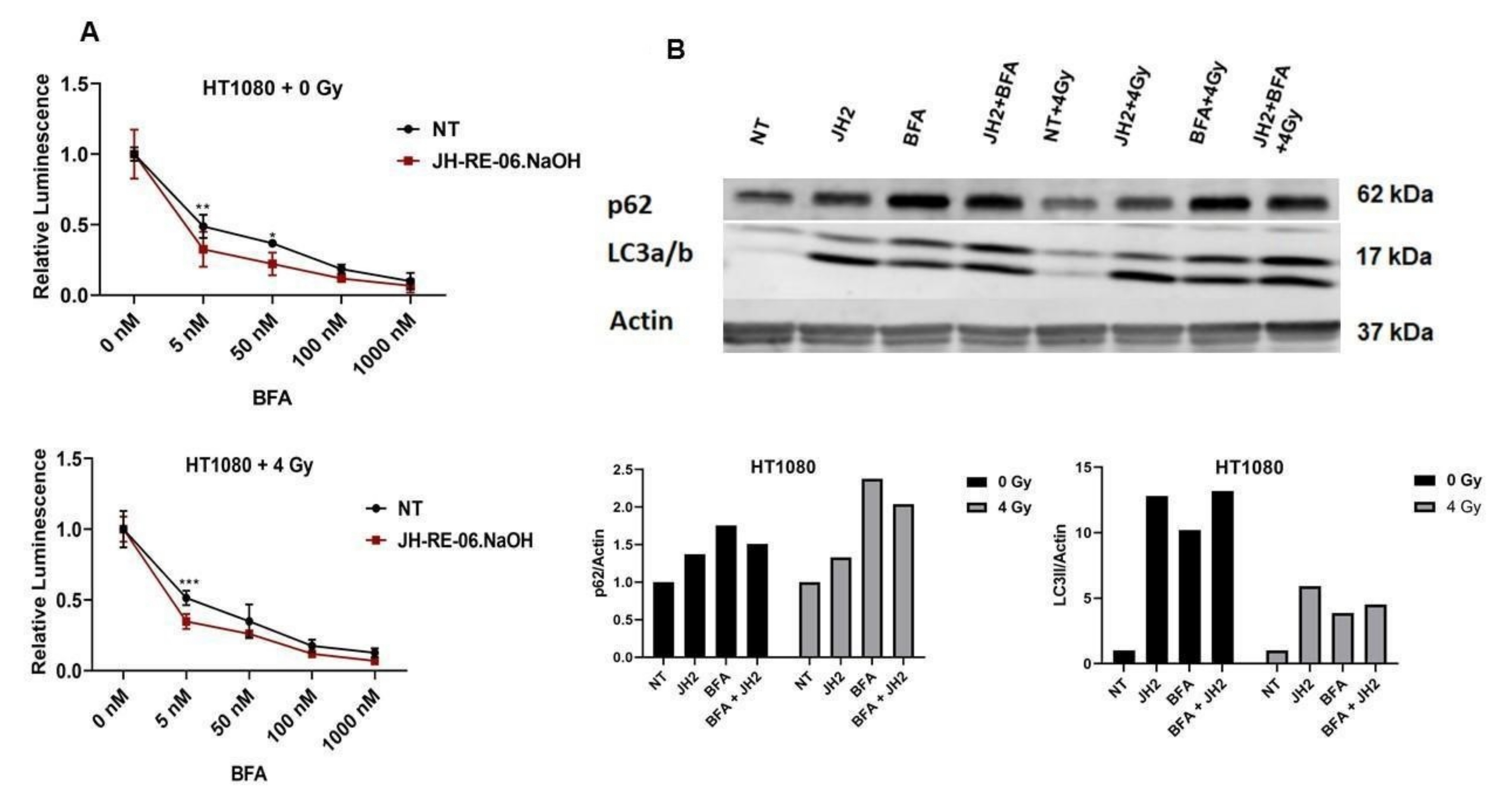 Cancers 13 05290 g004