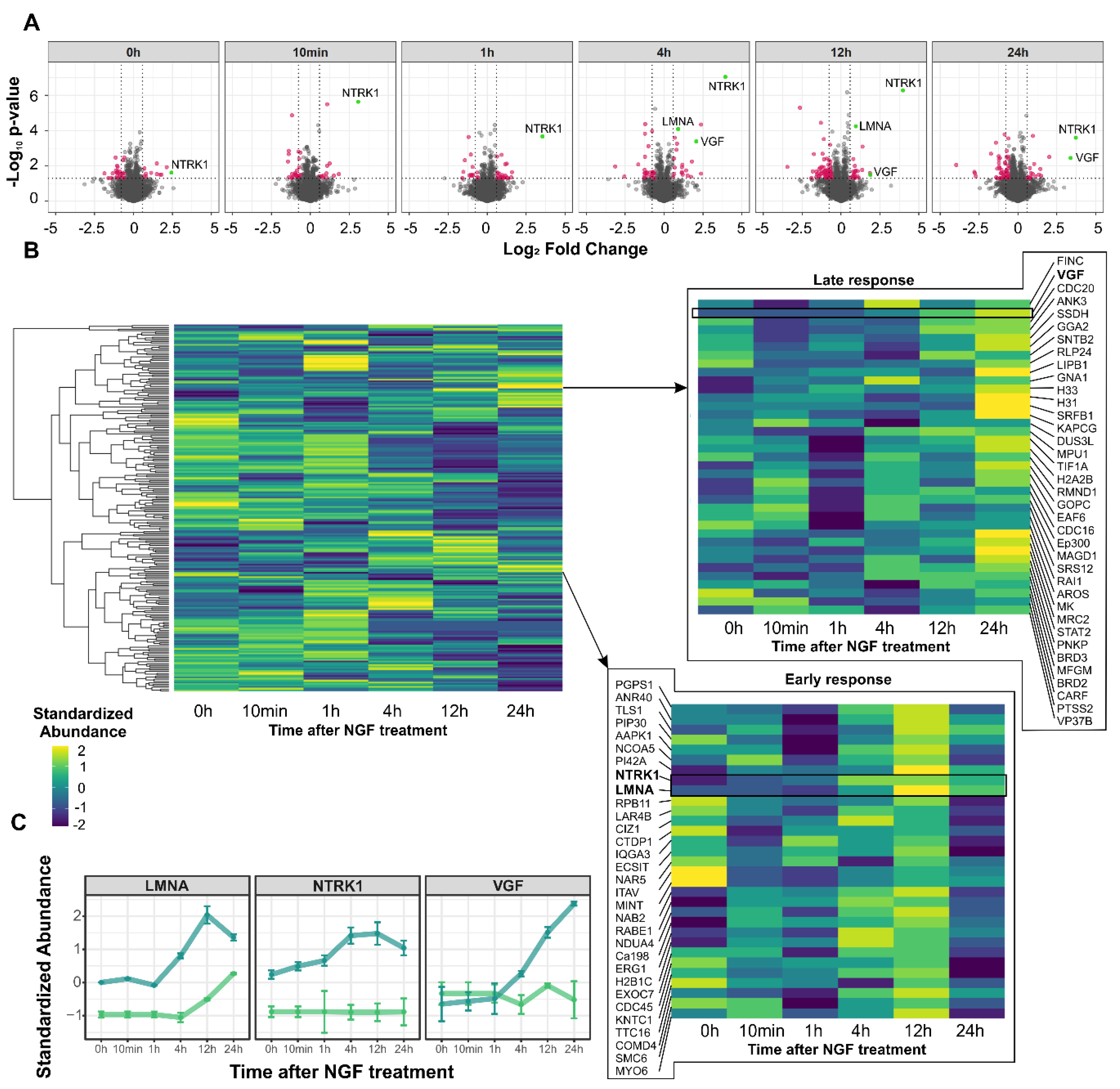 Cancers 13 05293 g003 Cancers 13 05293 g003