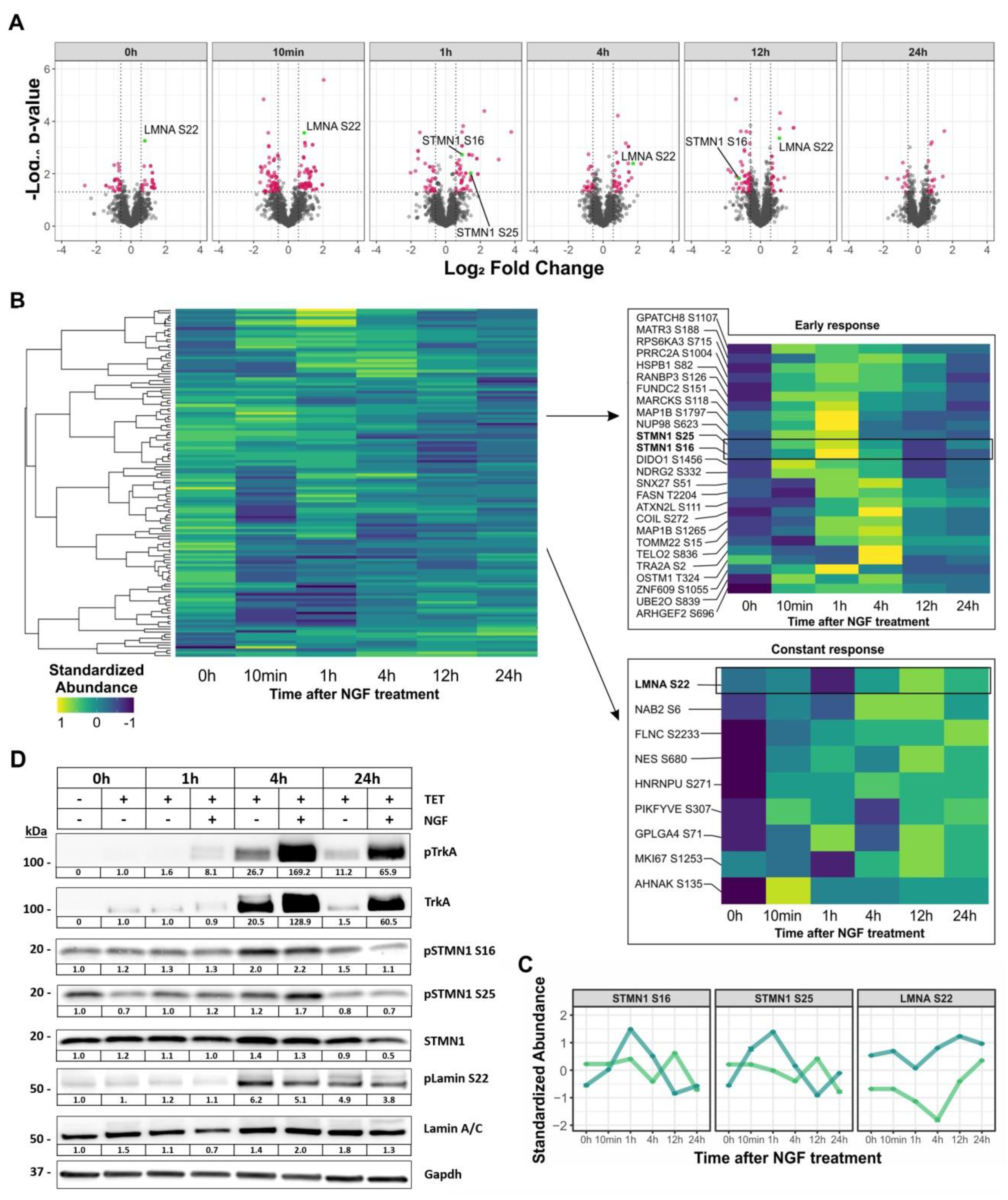 Cancers 13 05293 g004 Cancers 13 05293 g004