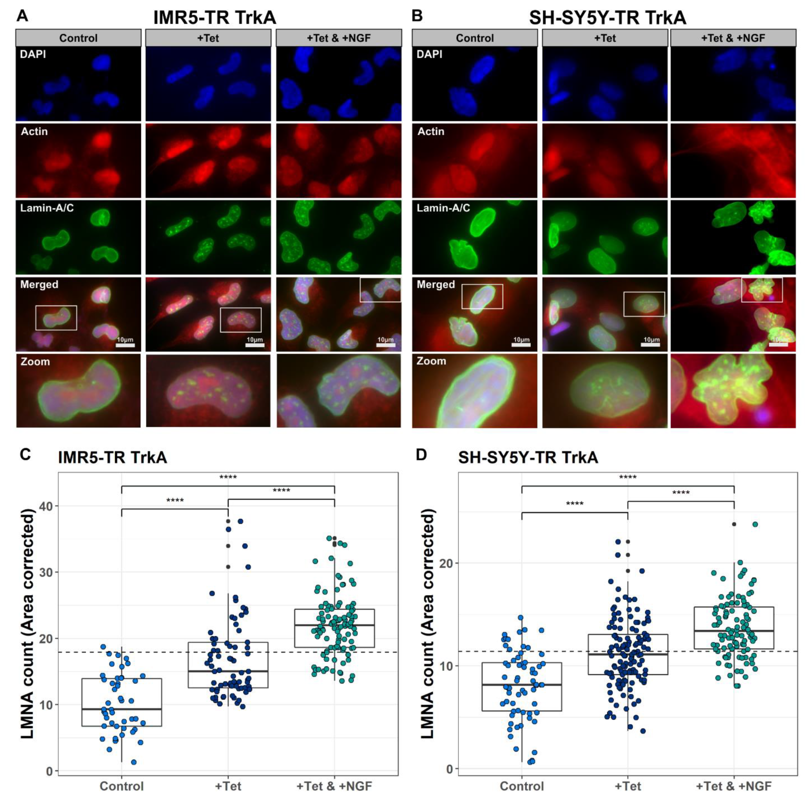Cancers 13 05293 g006 Cancers 13 05293 g006