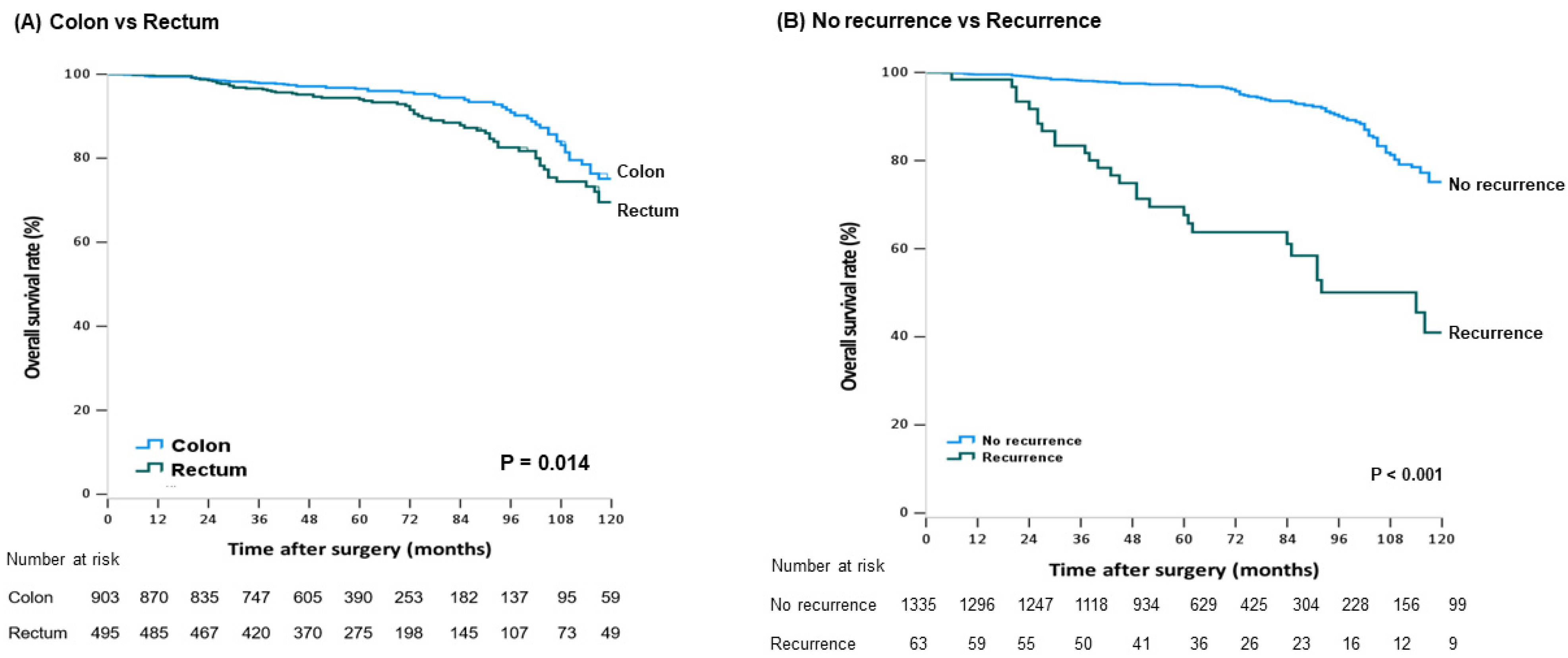 Cancers 13 05294 g001 550