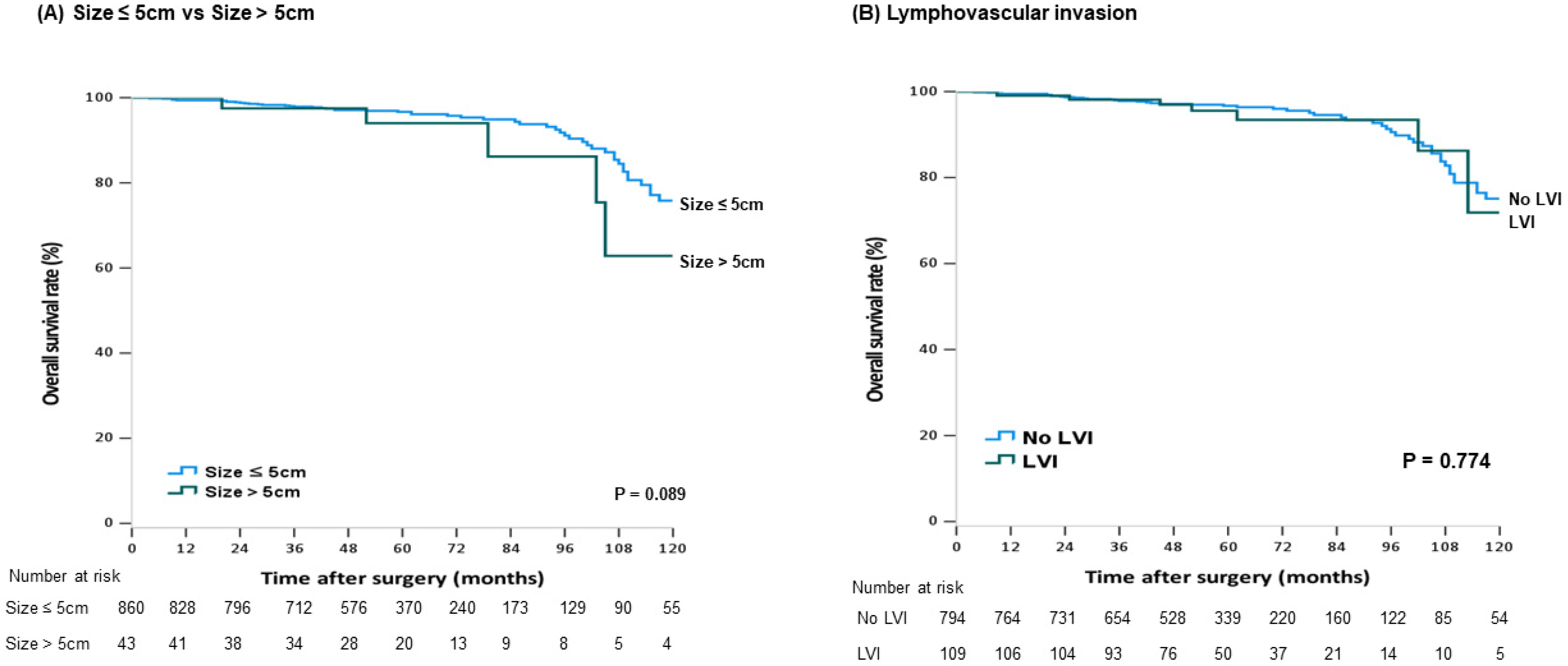 Cancers 13 05294 g002 550