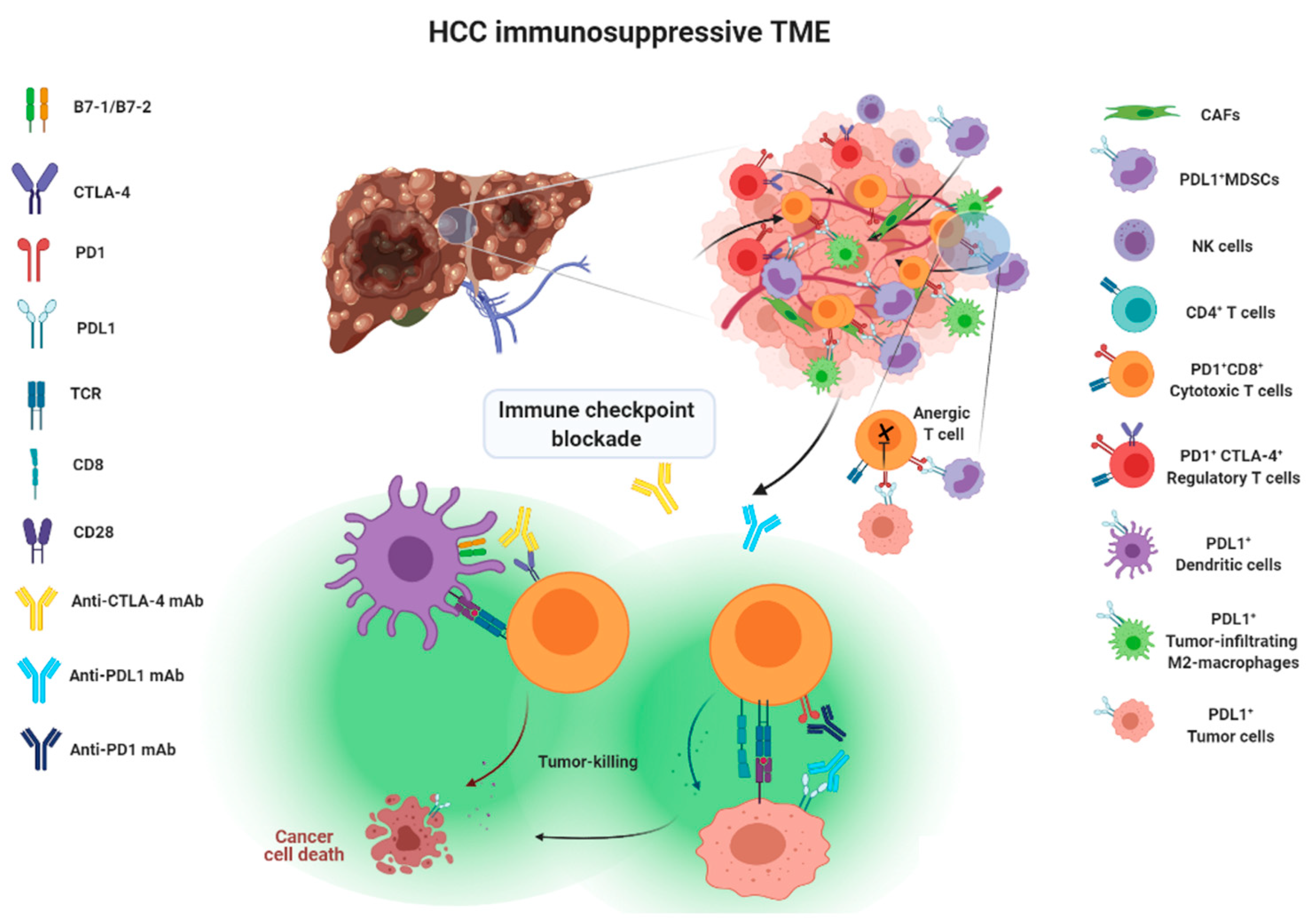 Cancers 13 05295 g001