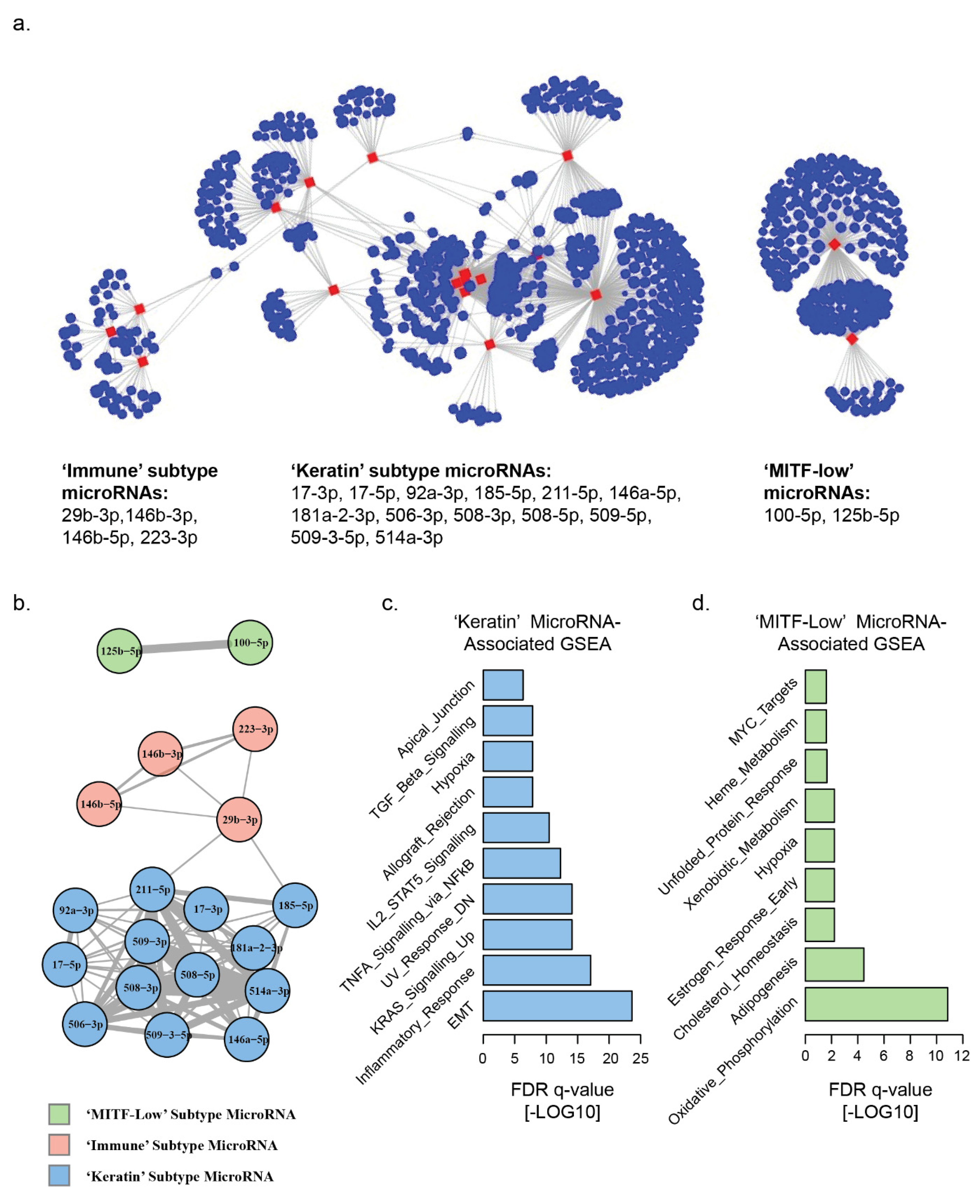 Cancers 13 05301 g001