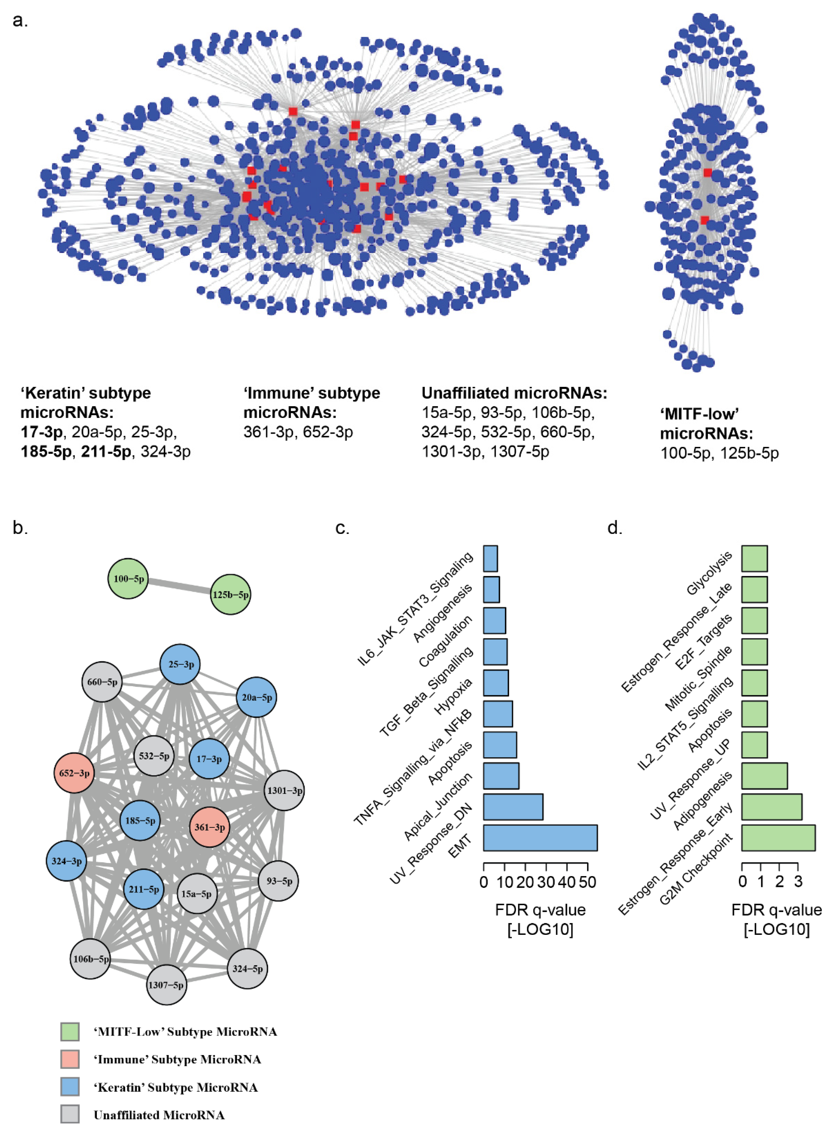 Cancers 13 05301 g002