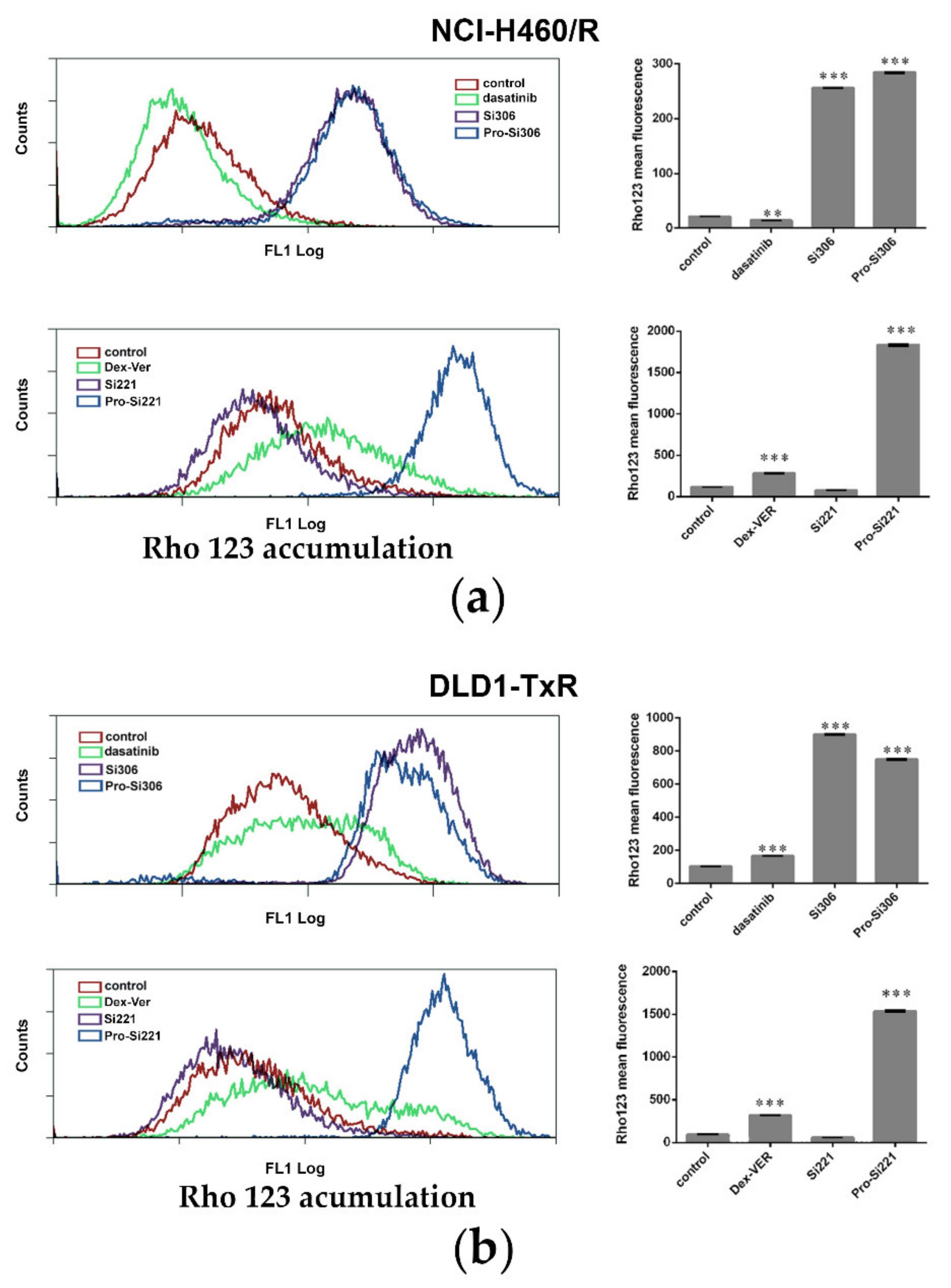 Cancers 13 05308 g002