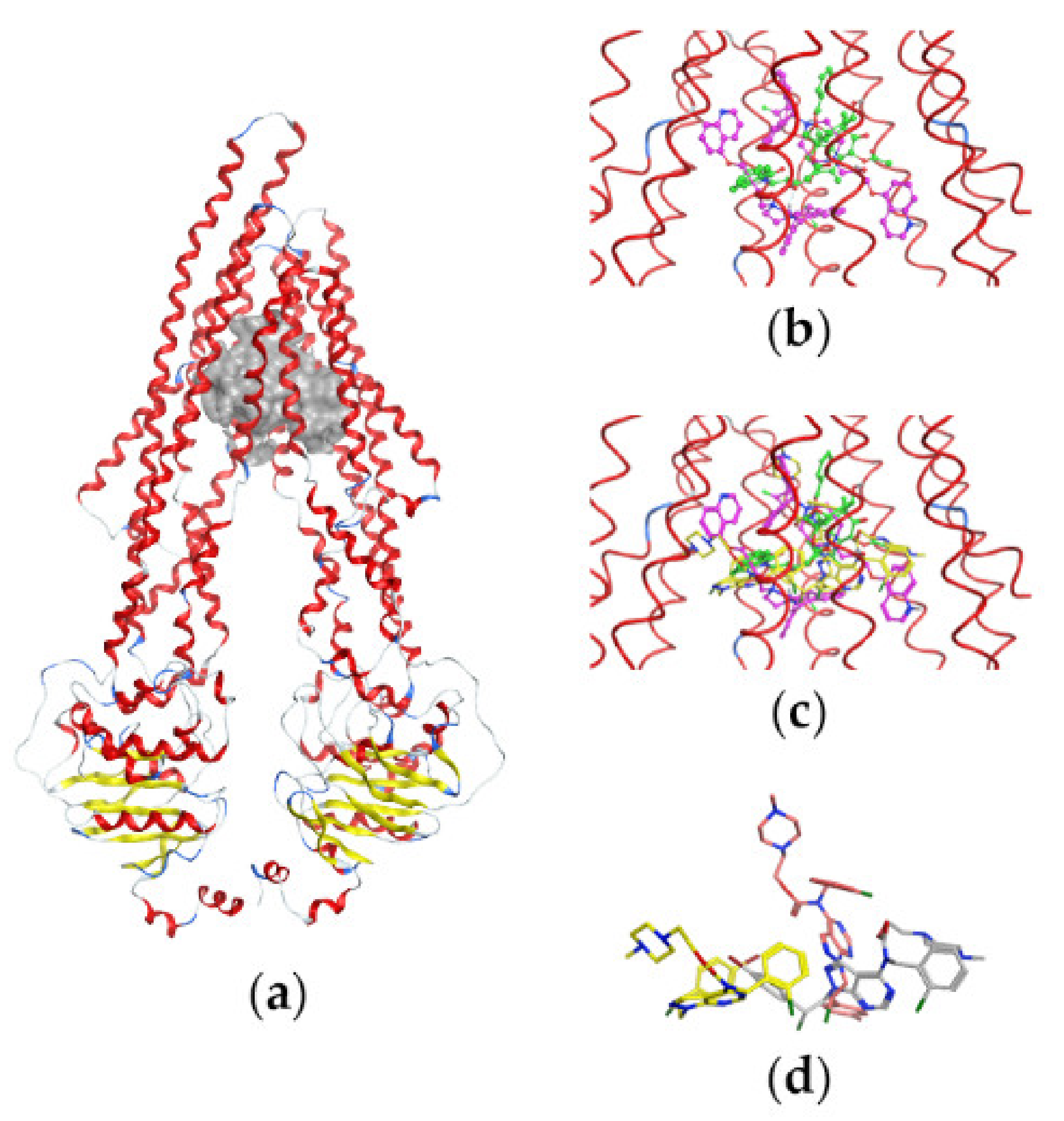Cancers 13 05308 g006