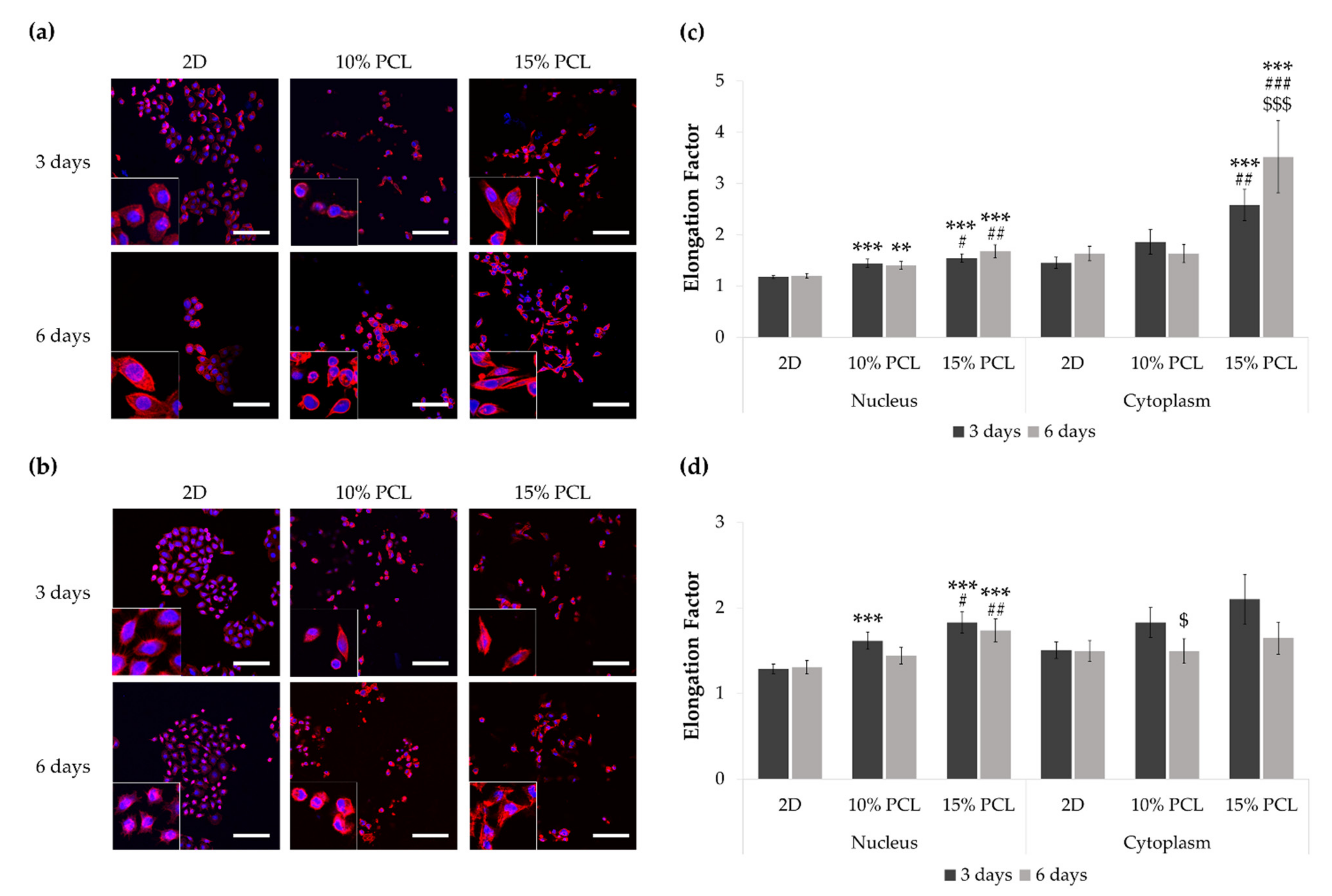Cancers 13 05320 g002 550