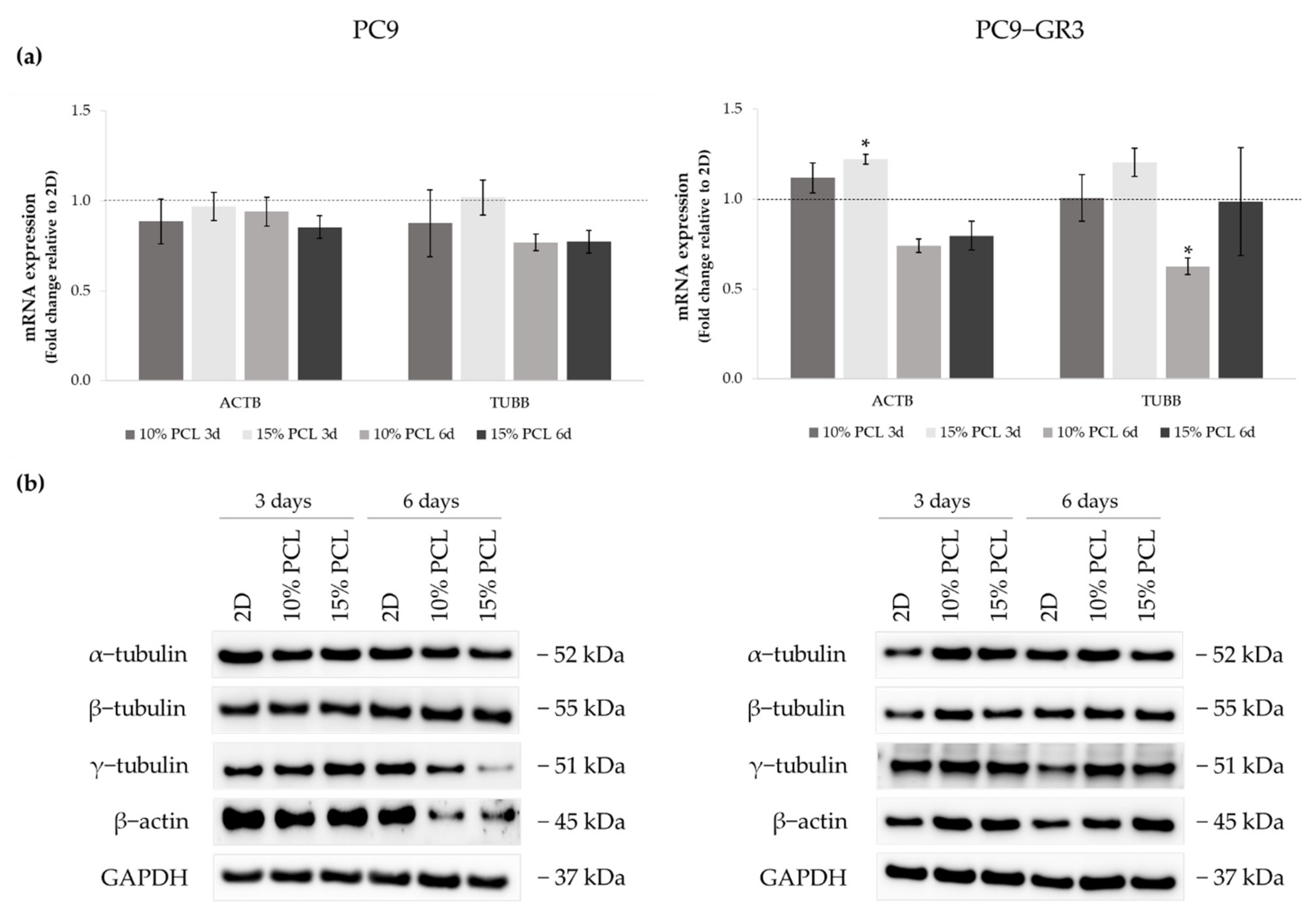 Cancers 13 05320 g003 550