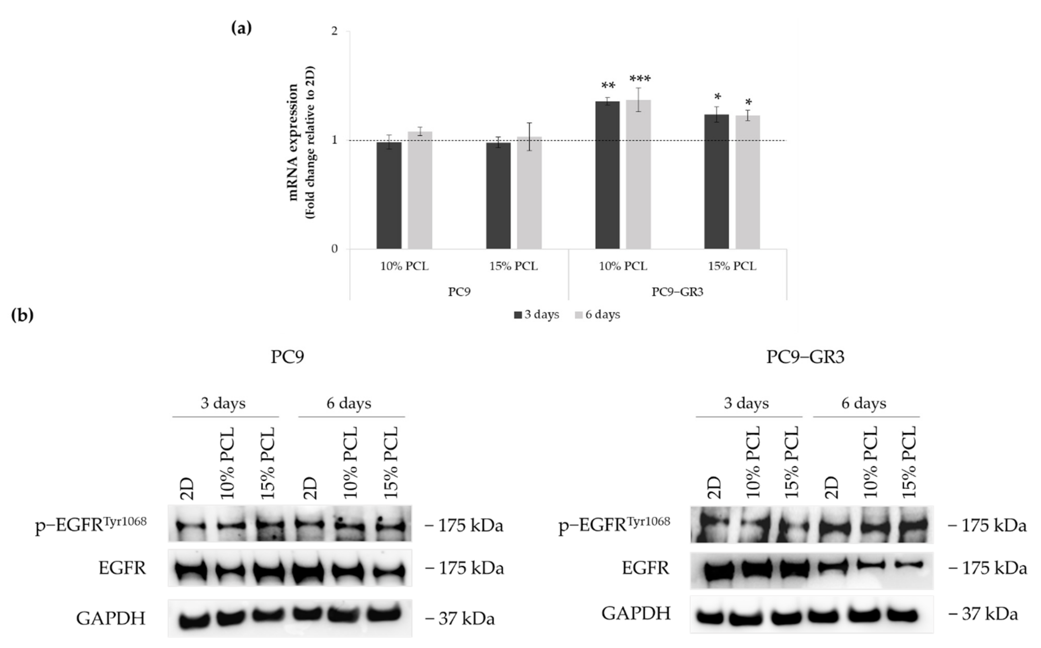 Cancers 13 05320 g005 550