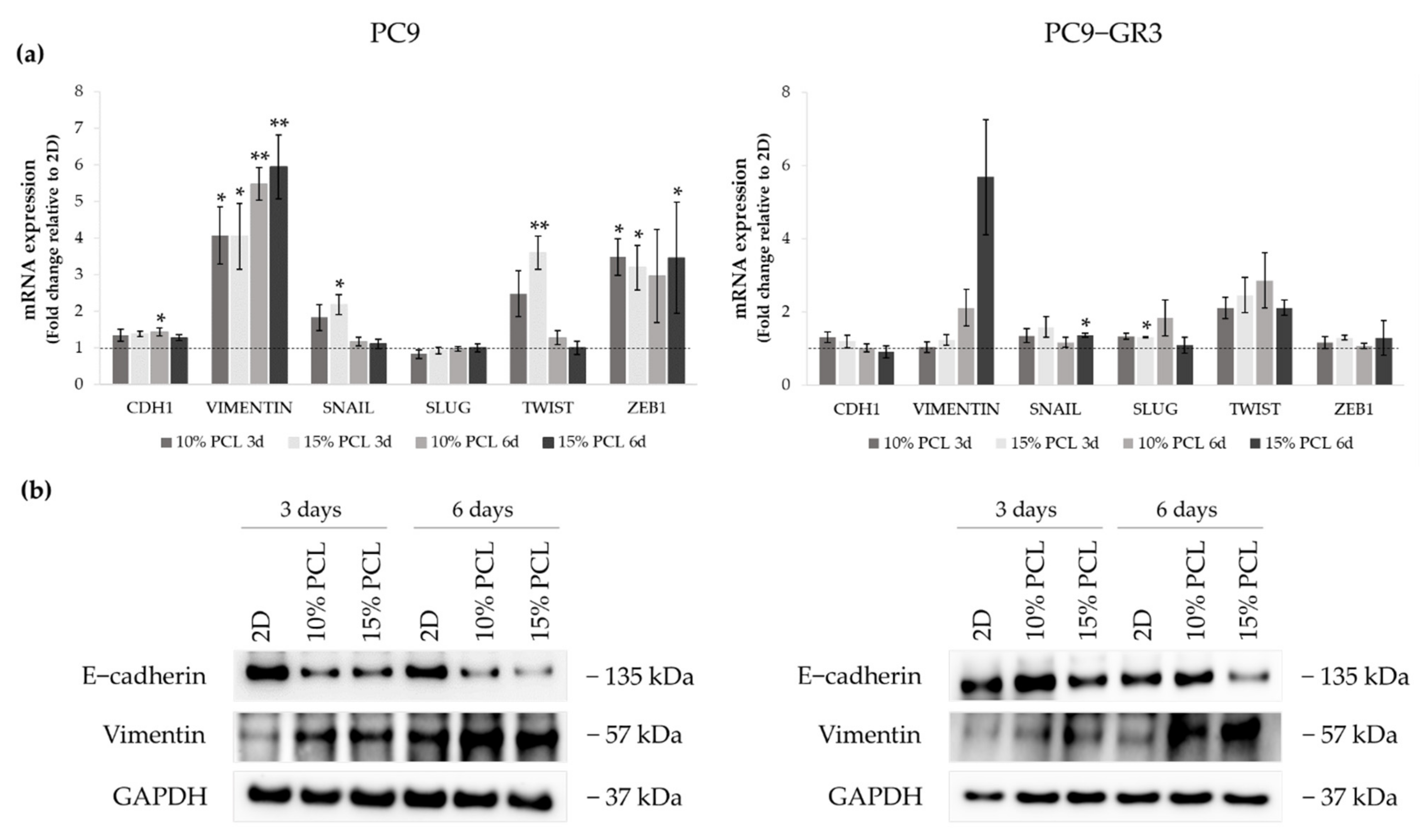 Cancers 13 05320 g007 550