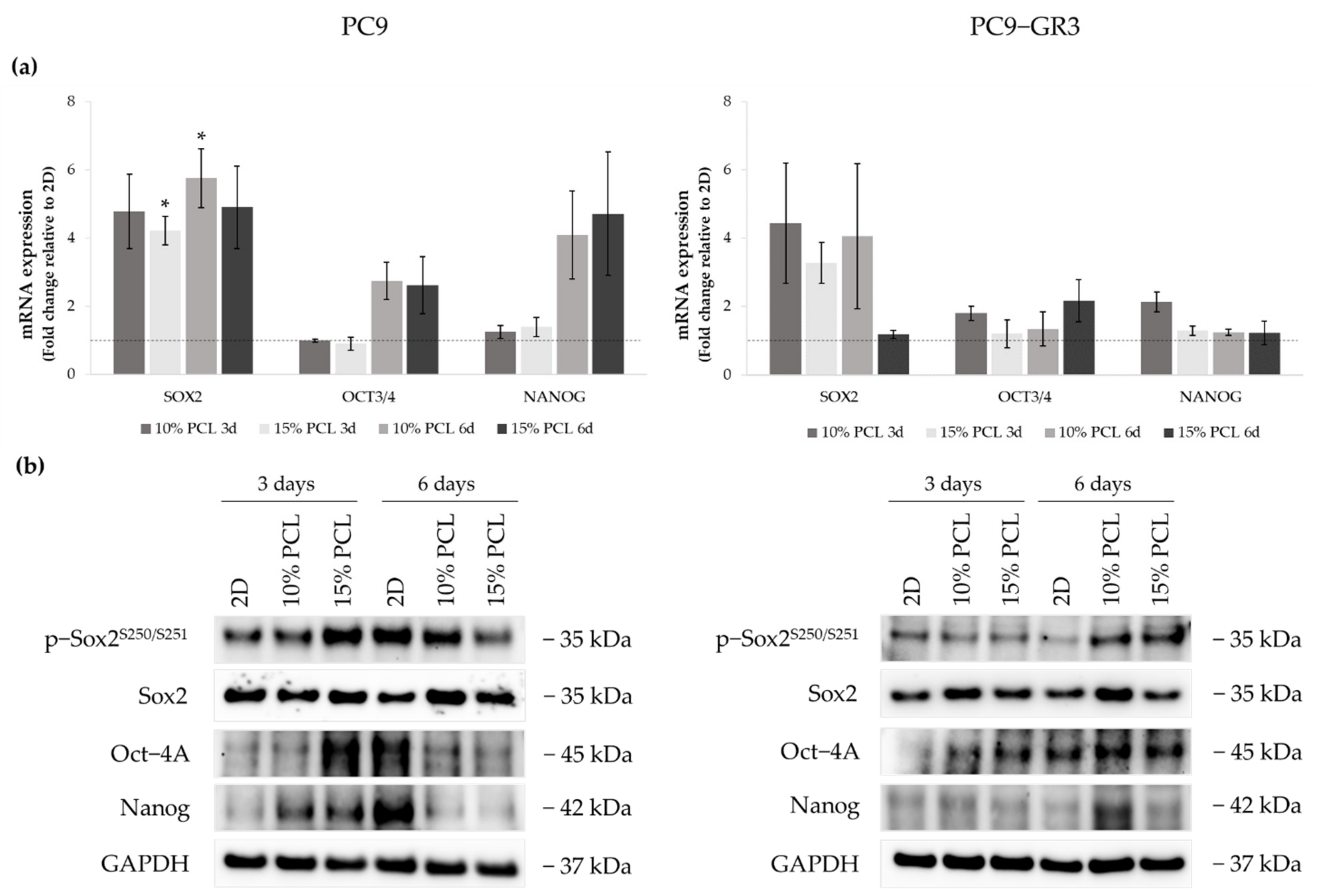 Cancers 13 05320 g008 550