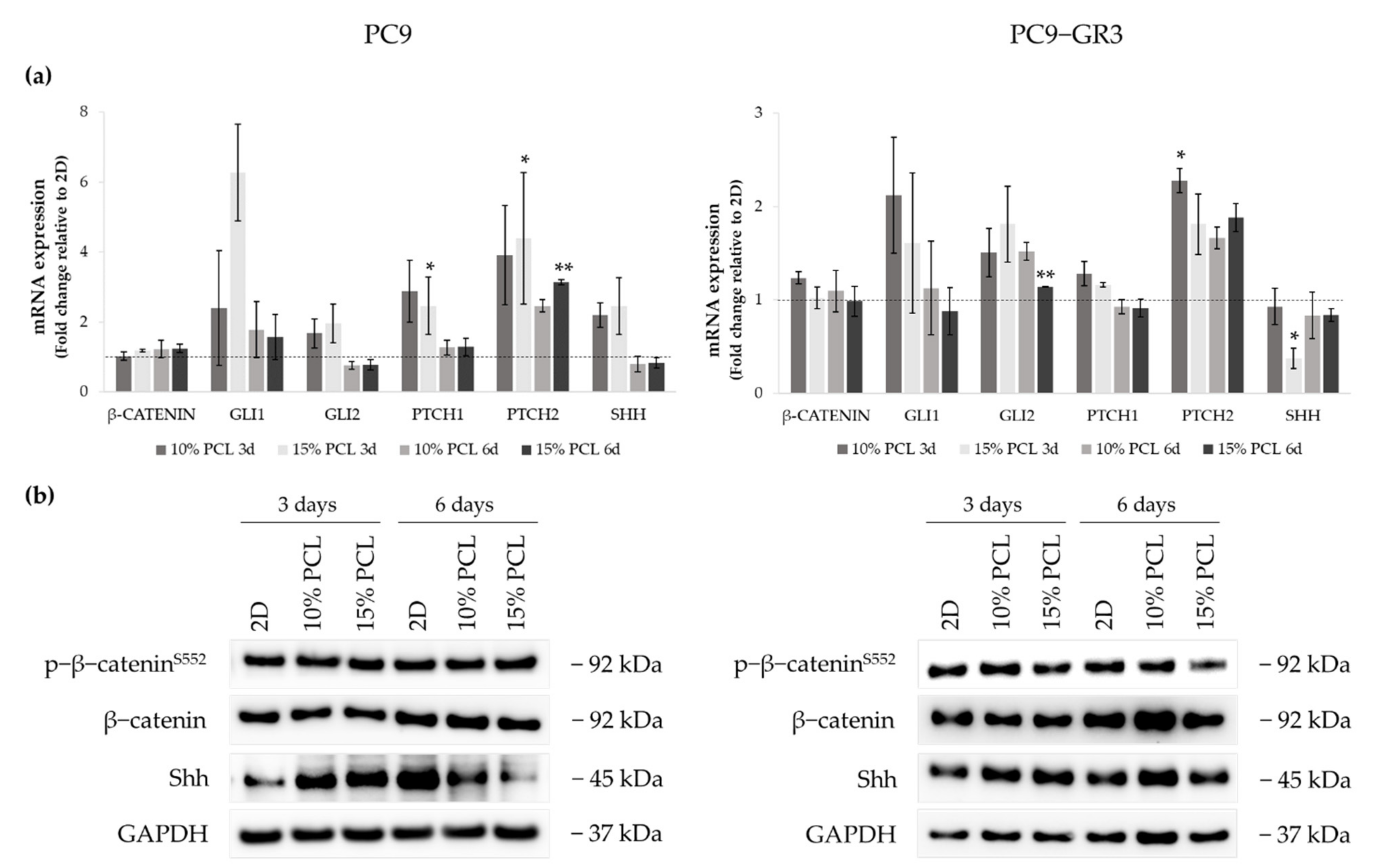 Cancers 13 05320 g010 550