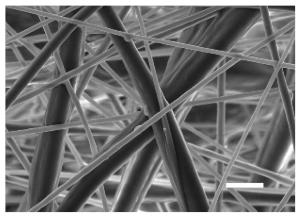 Cancers 13 05320 i006