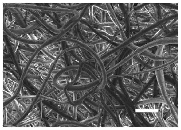 Cancers 13 05320 i007