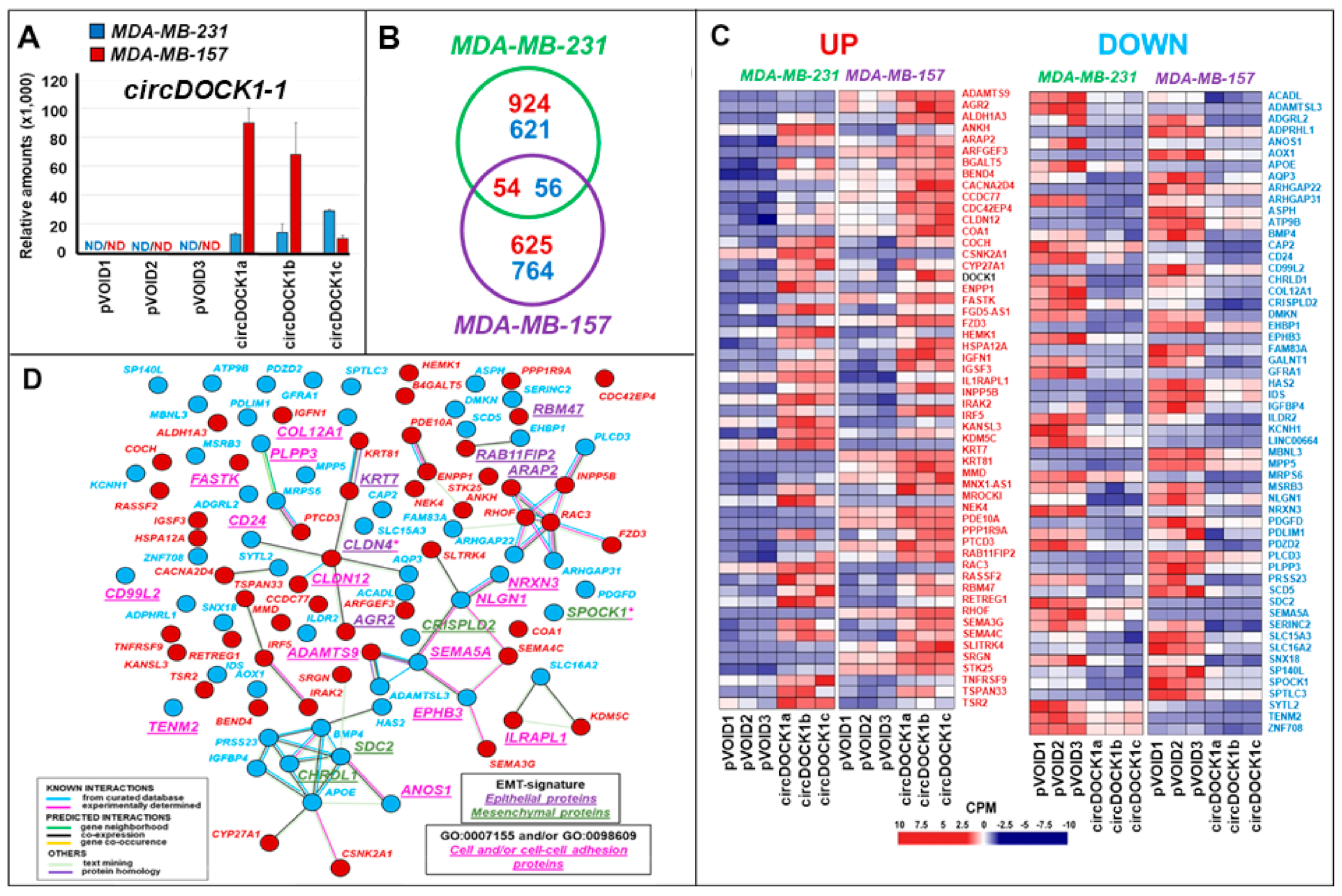 Cancers 13 05325 g003