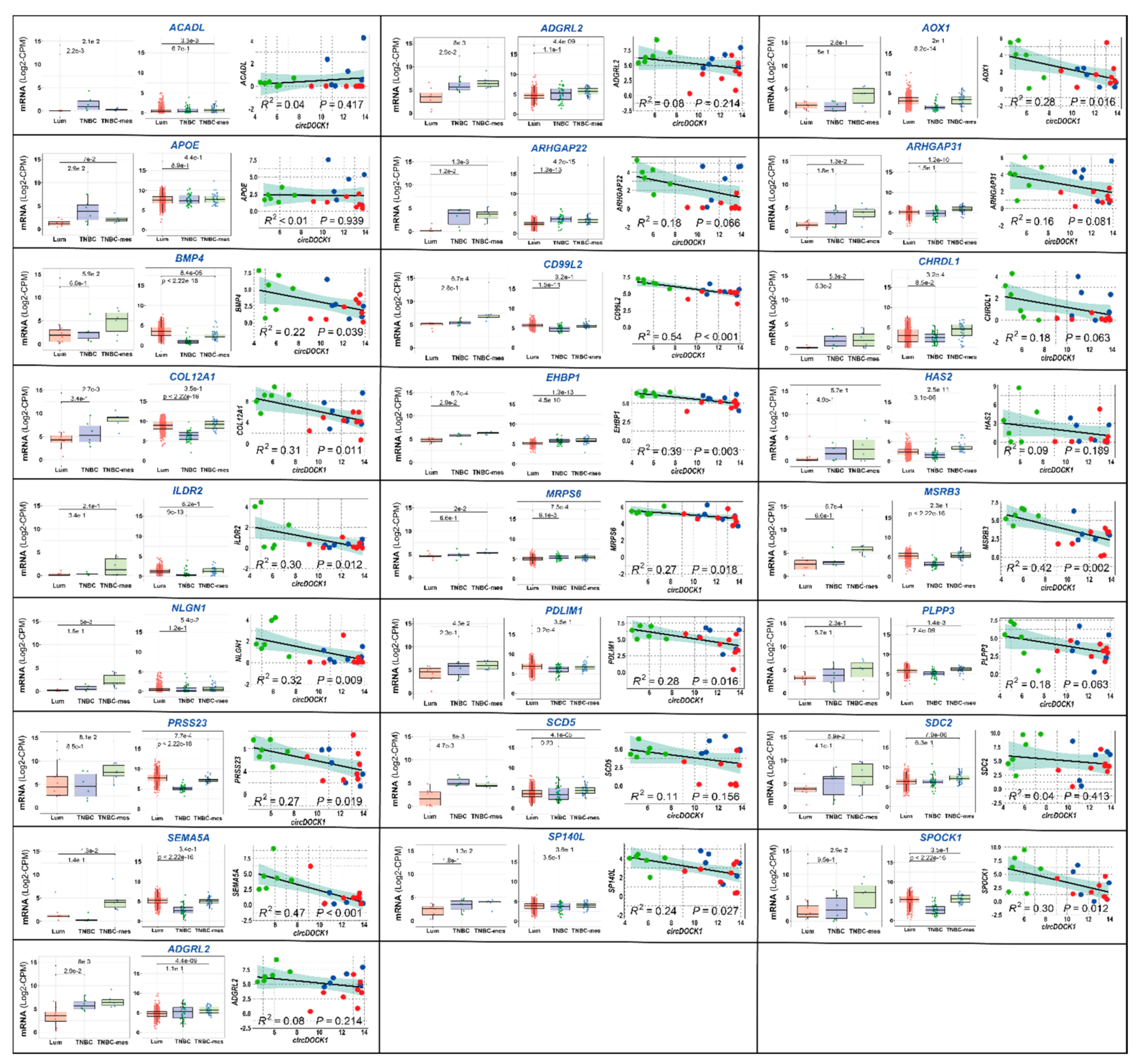 Cancers 13 05325 g005