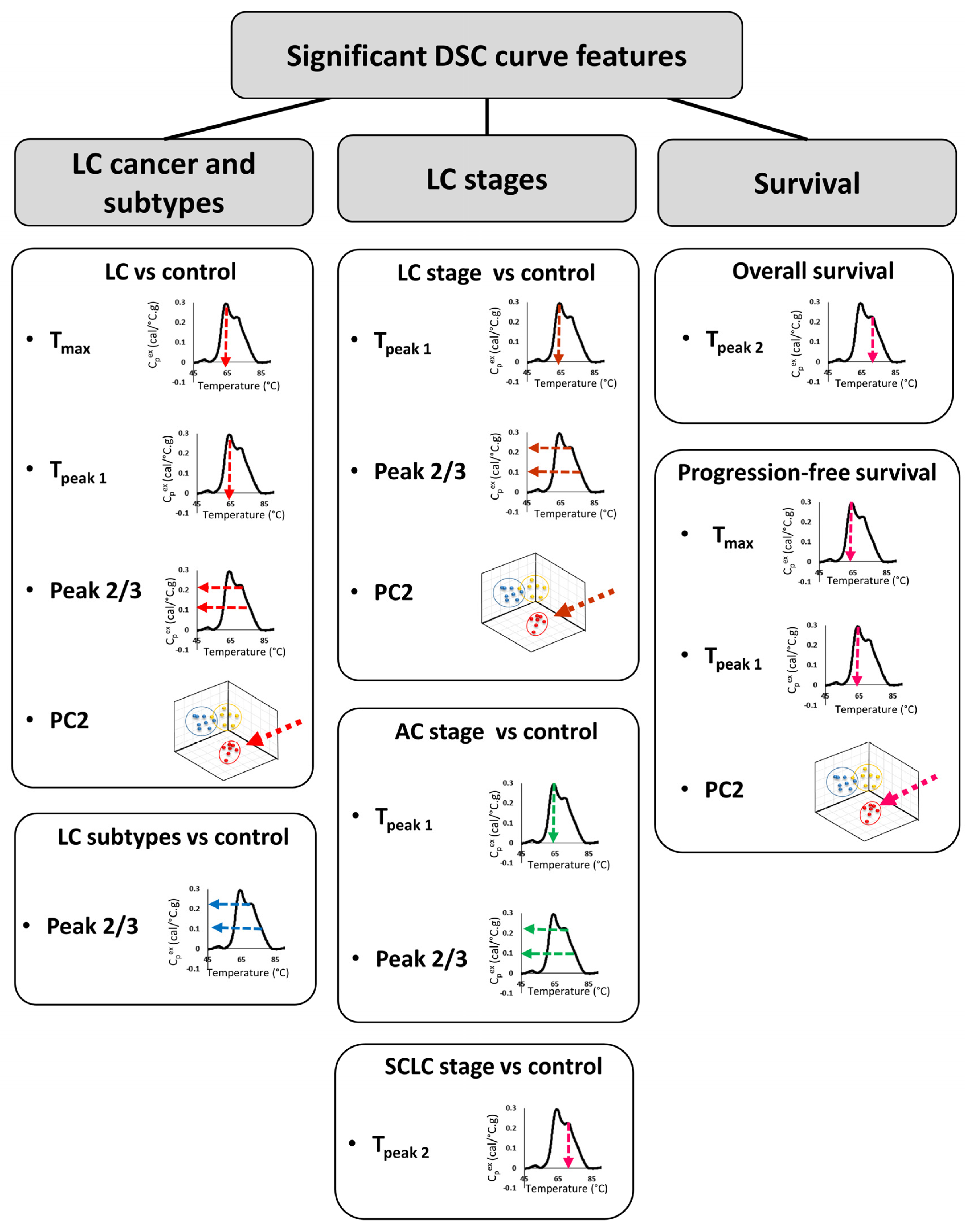 Cancers 13 05326 g007
