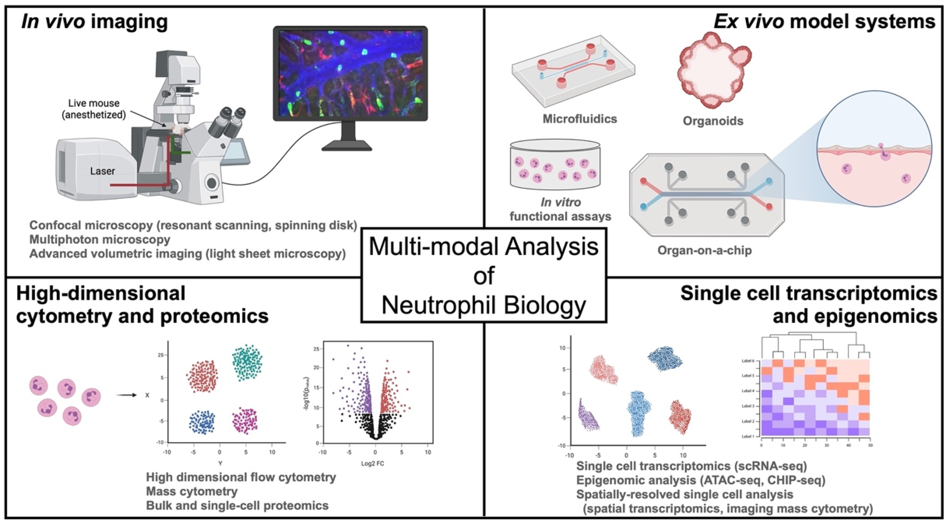 Cancers 13 05331 g001 550