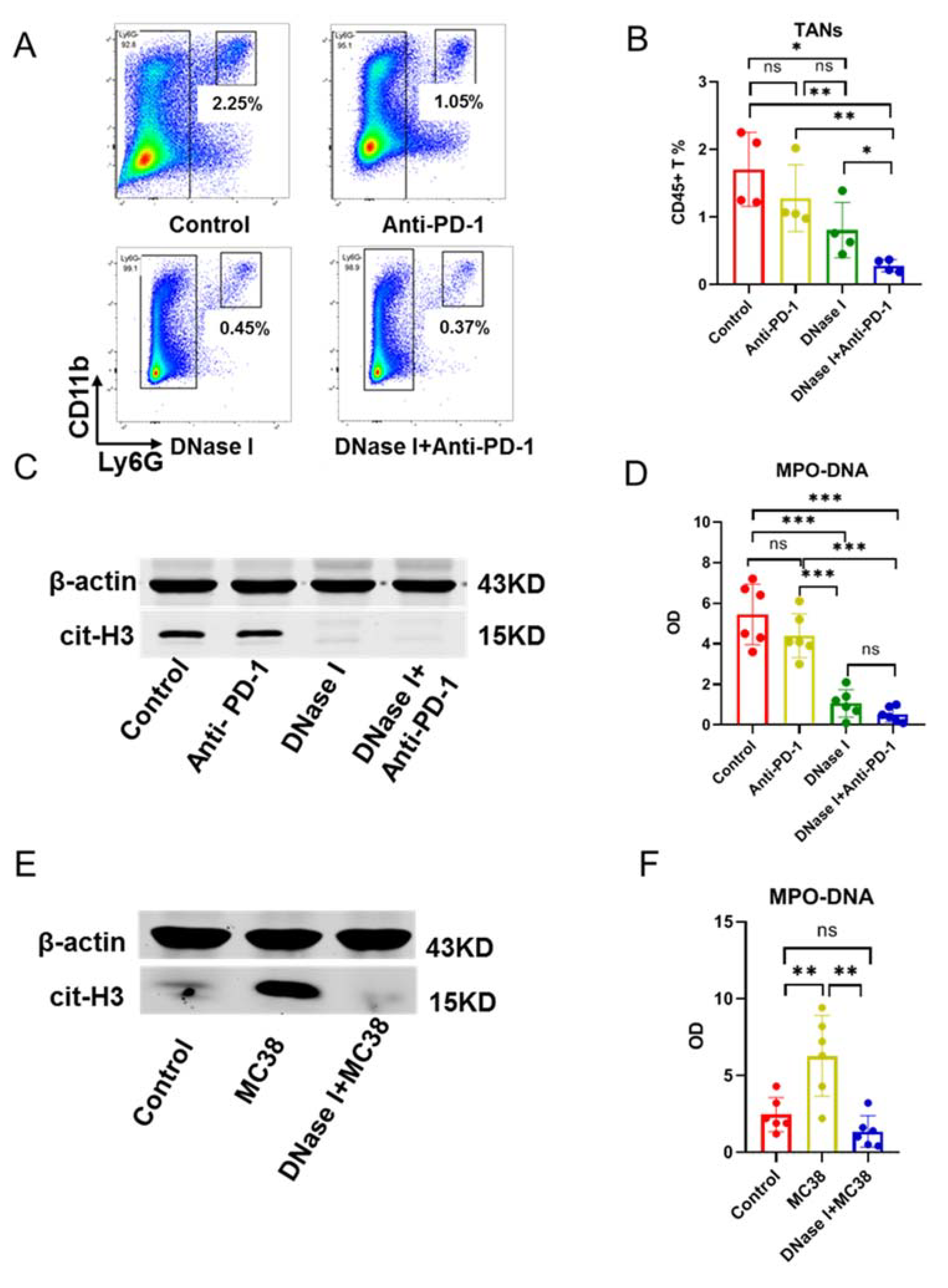 Cancers 13 05333 g002 550