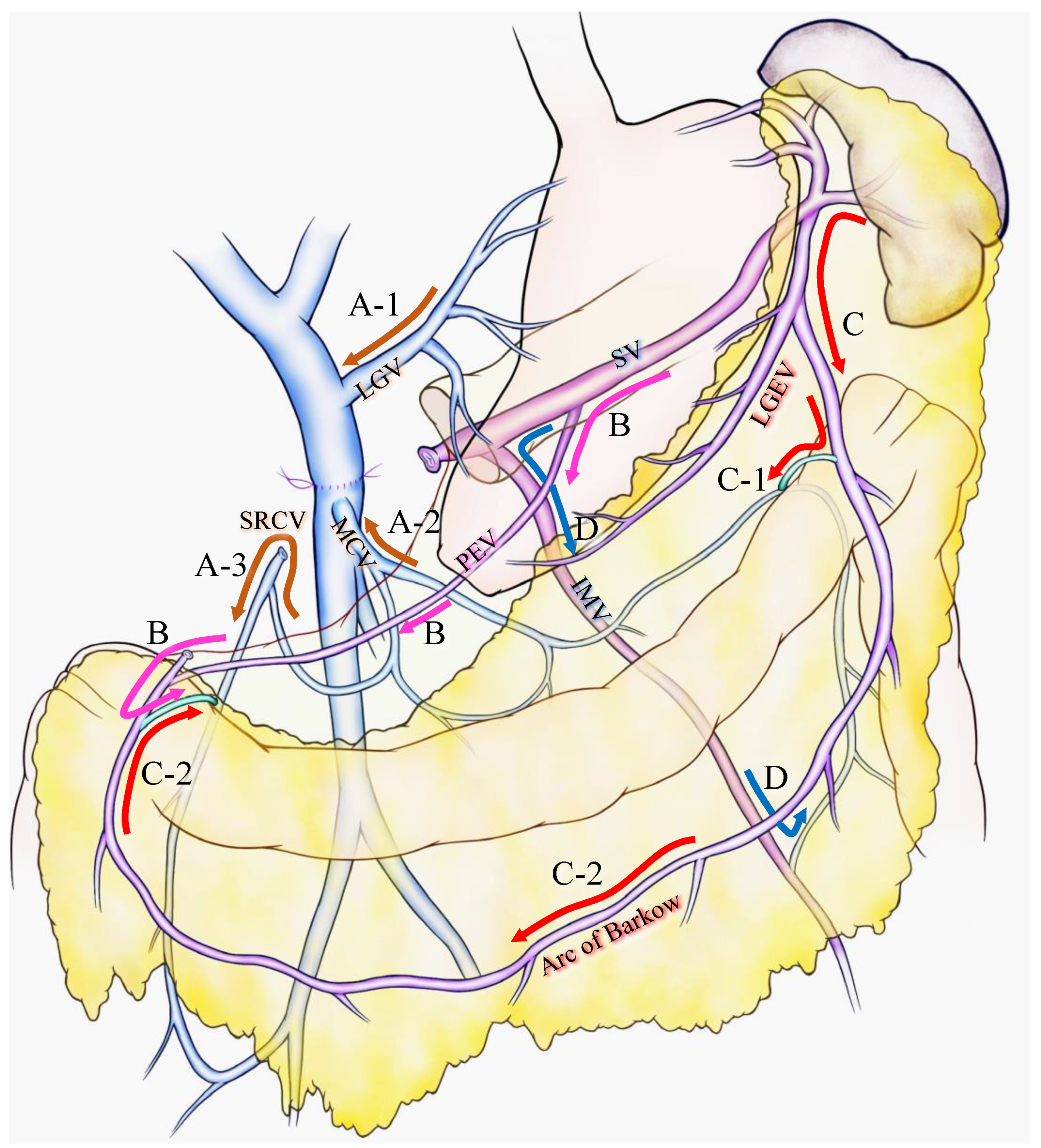 Cancers 13 05334 g001 Cancers 13 05334 g001