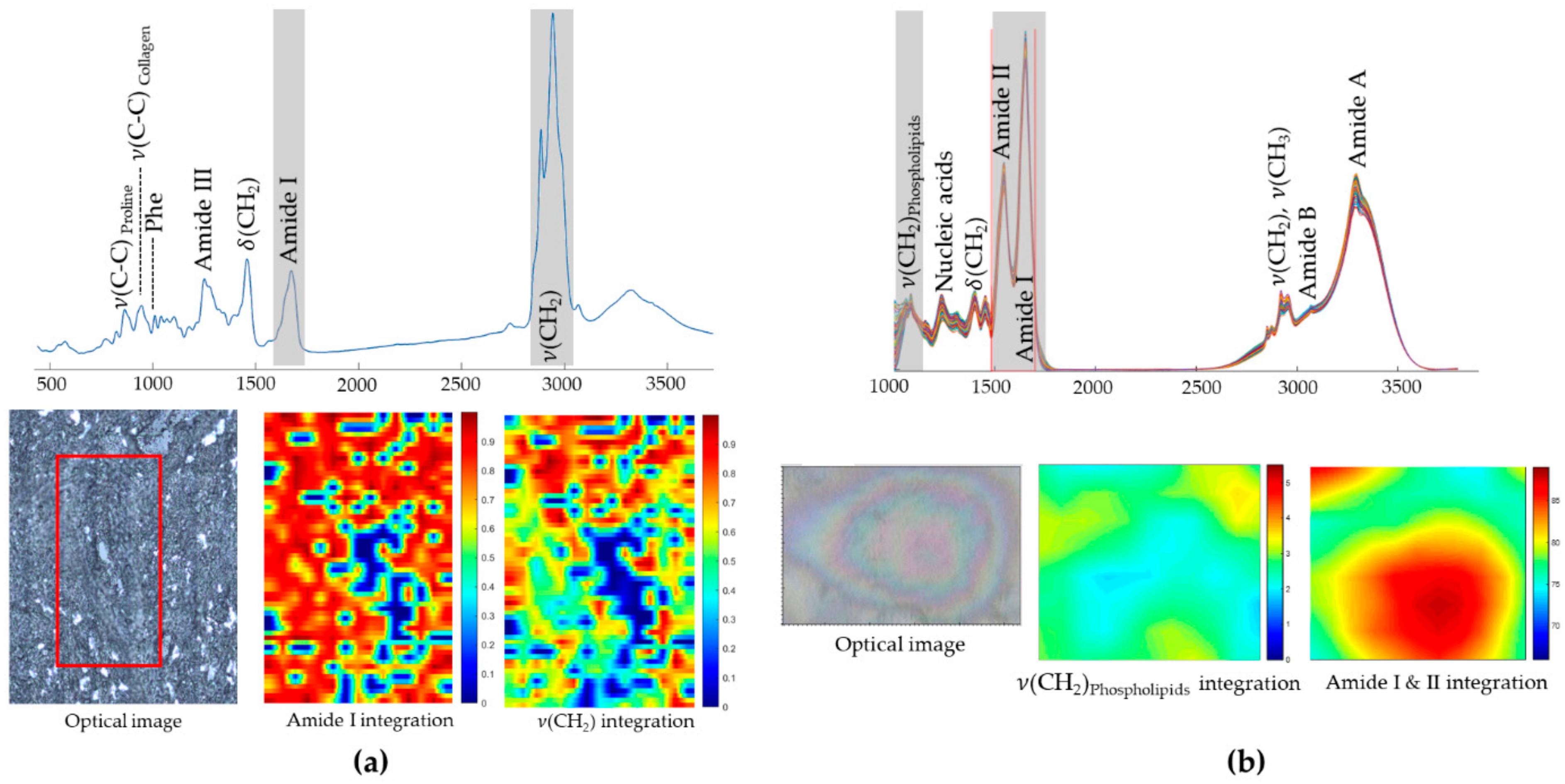 Cancers 13 05336 g001 Cancers 13 05336 g001