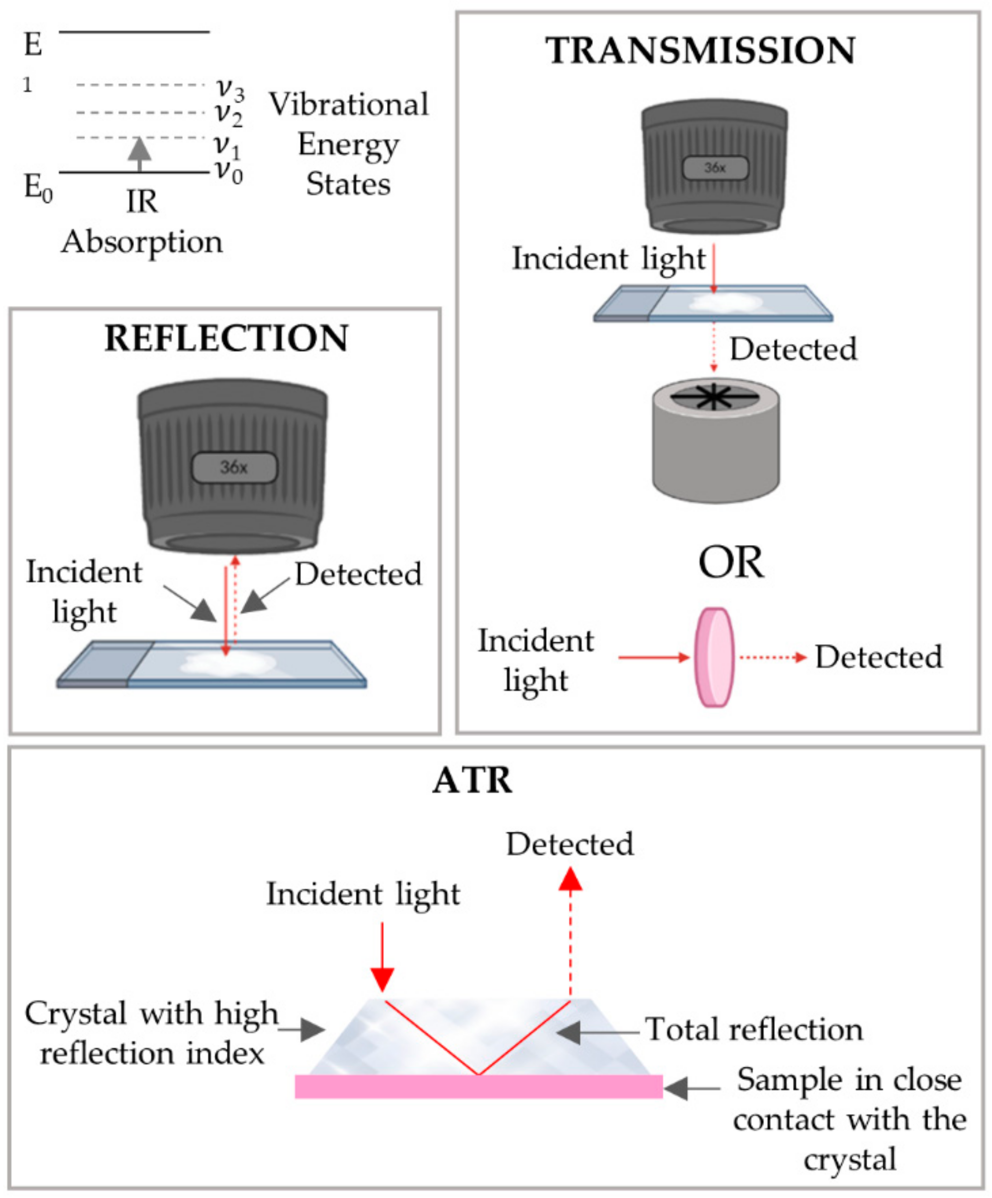 Cancers 13 05336 g009 Cancers 13 05336 g009