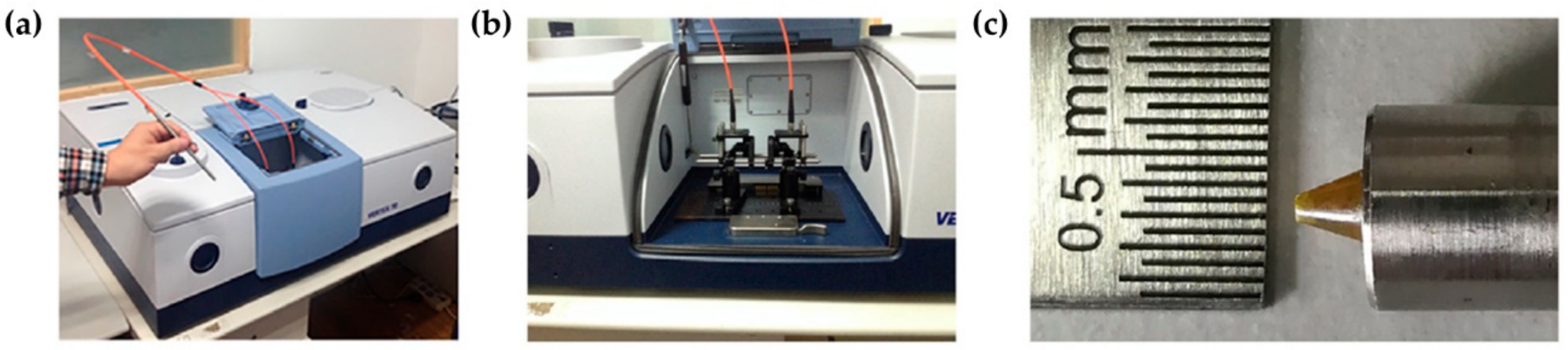 Cancers 13 05336 g010 Cancers 13 05336 g010