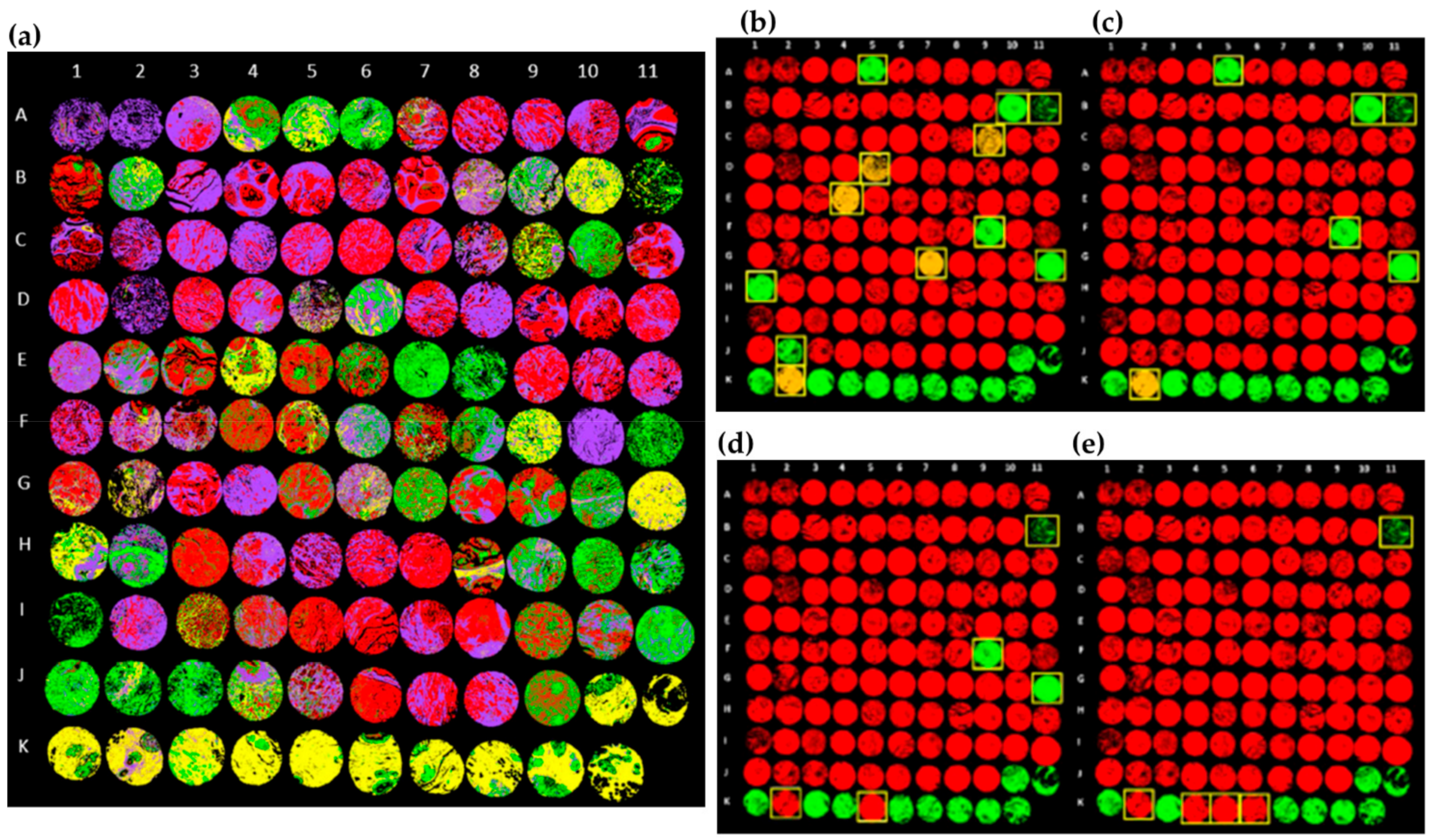 Cancers 13 05336 g011 Cancers 13 05336 g011