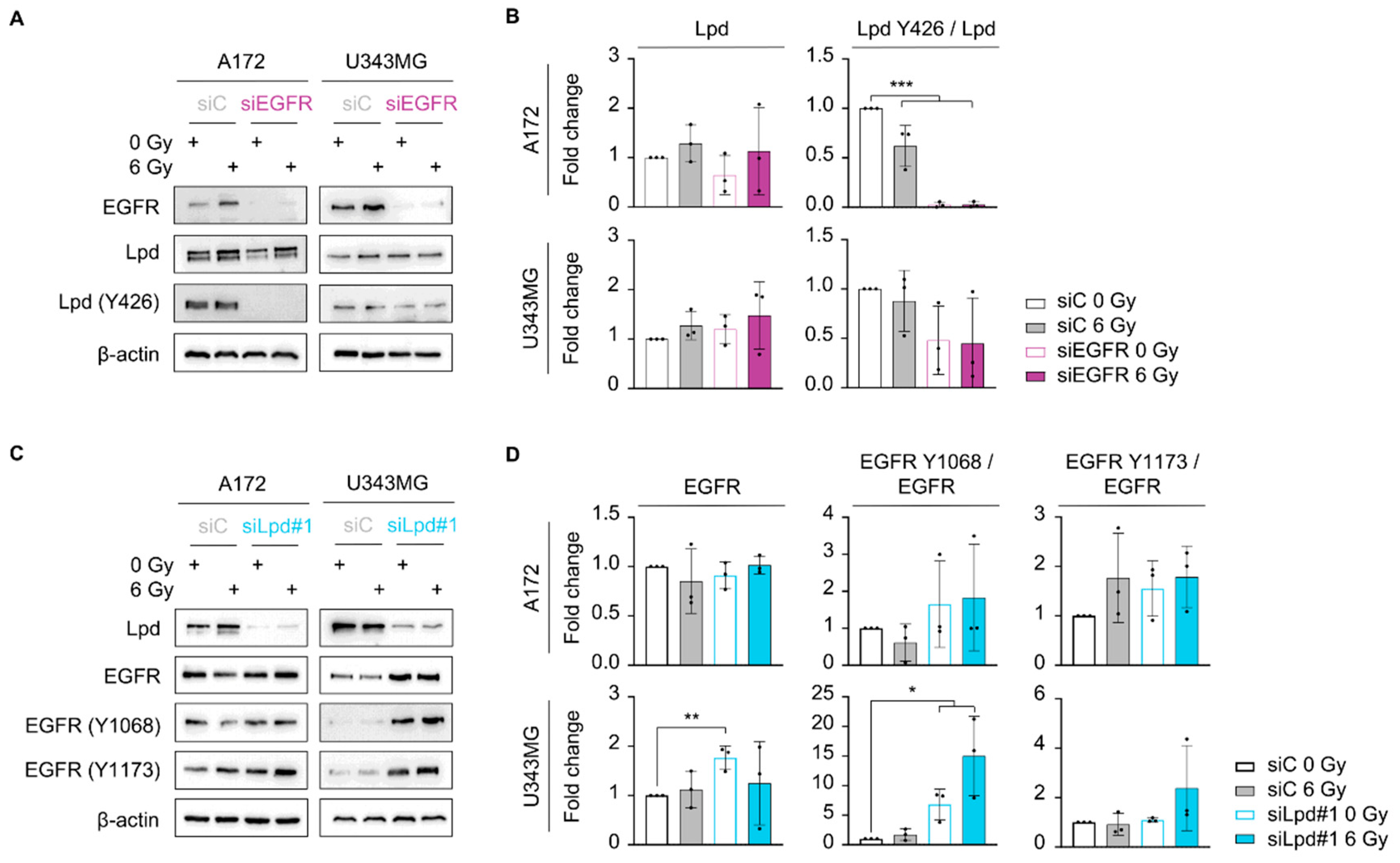 Cancers 13 05337 g004
