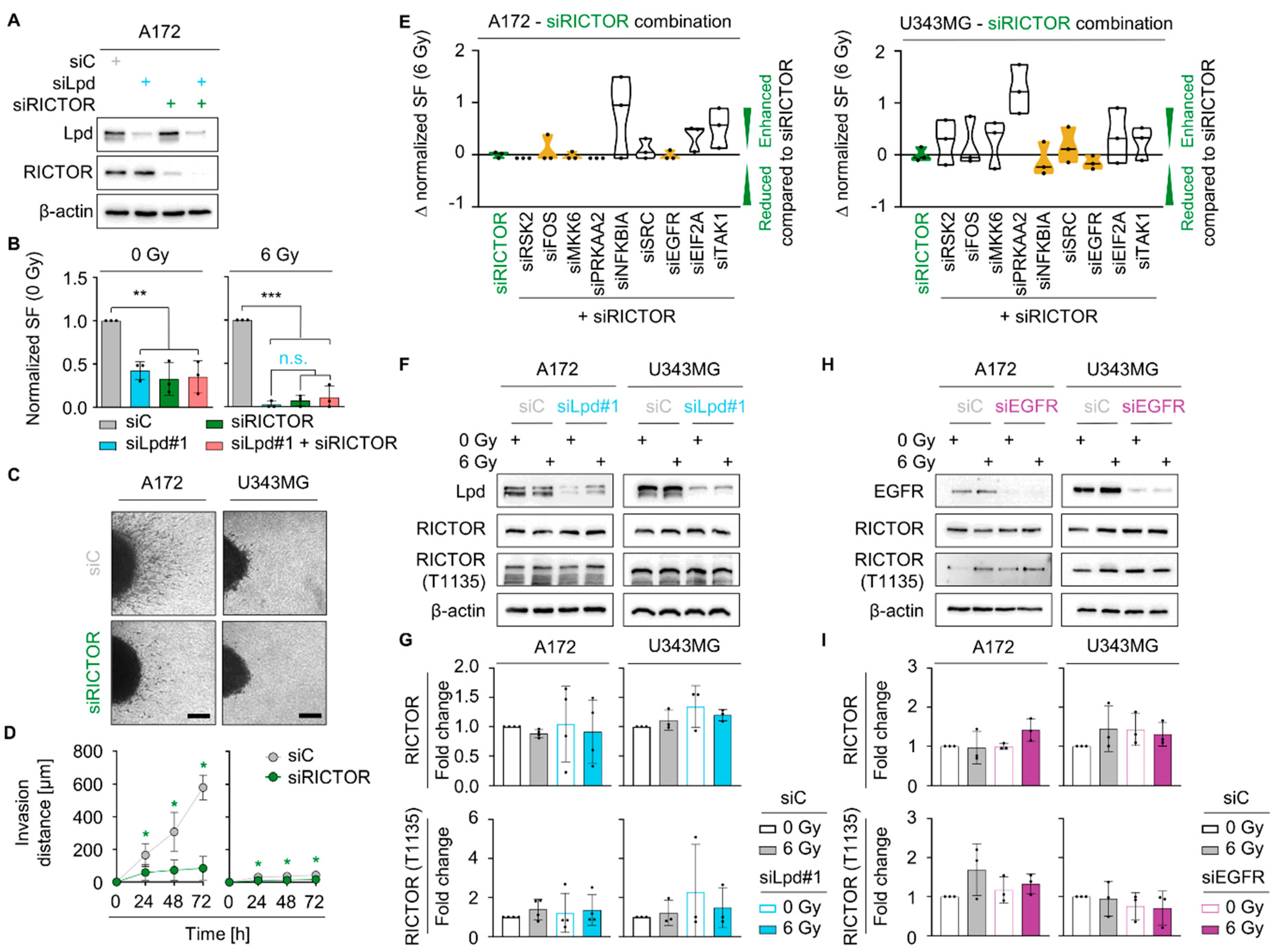 Cancers 13 05337 g006