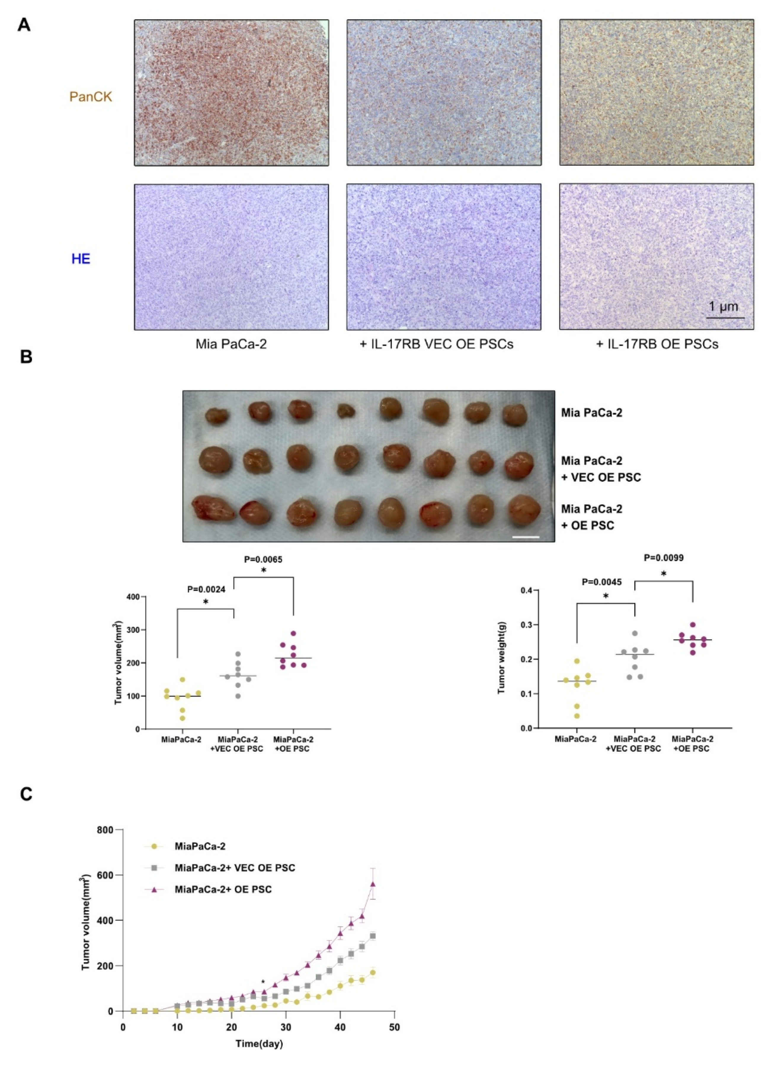 Cancers 13 05338 g004a 550