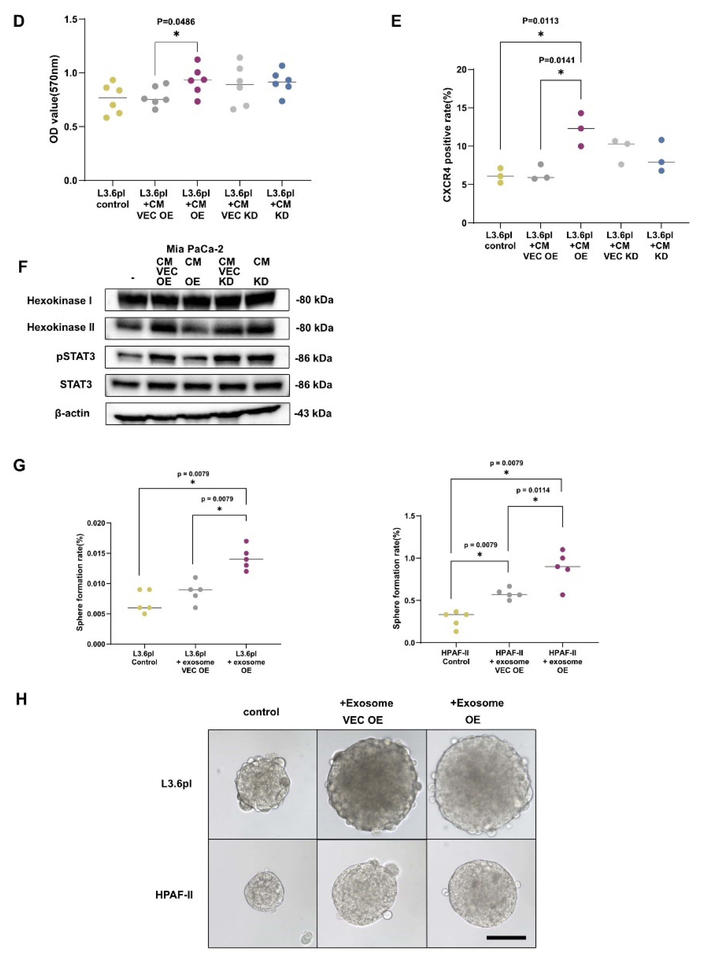 Cancers 13 05338 g004b 550