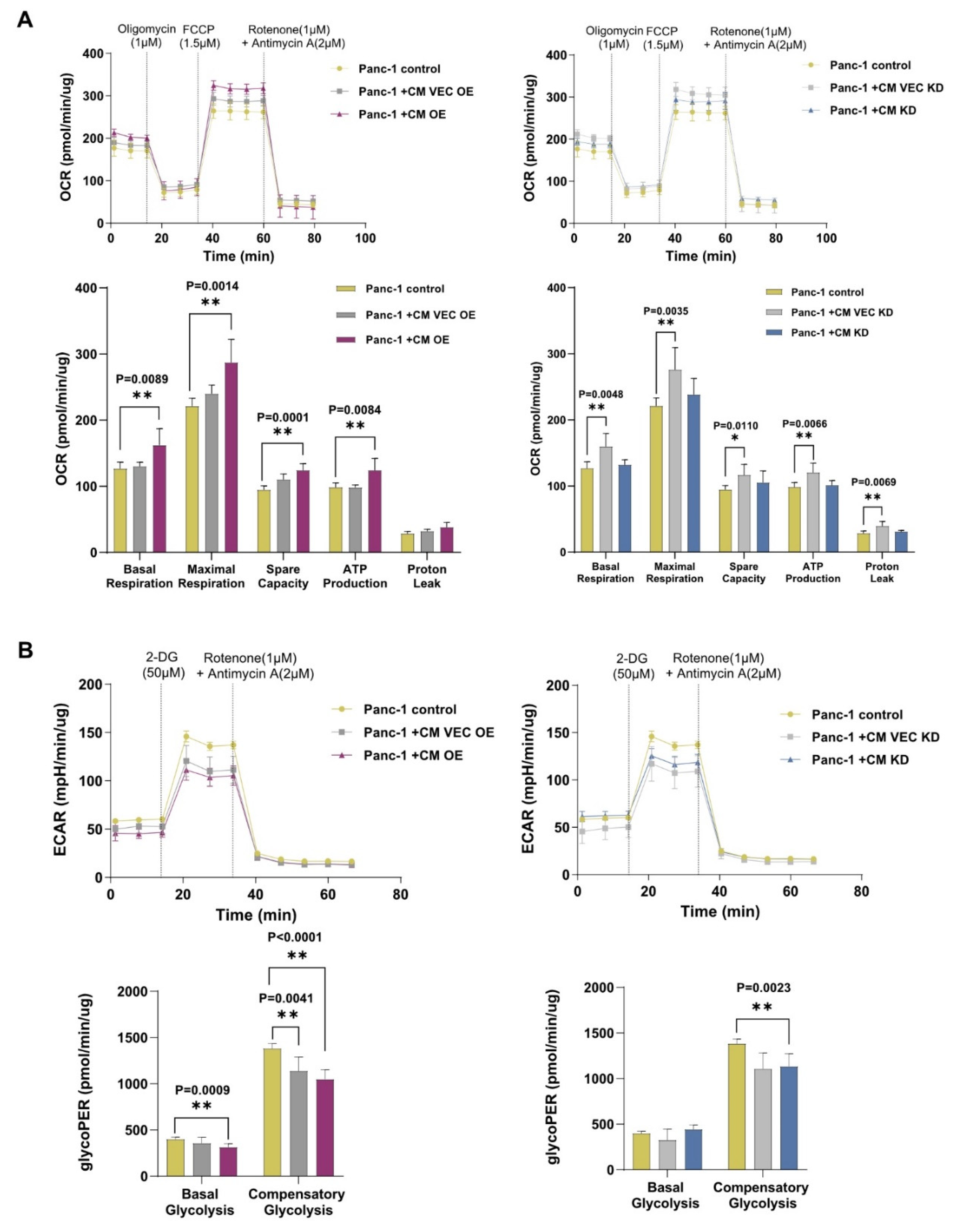 Cancers 13 05338 g005 550