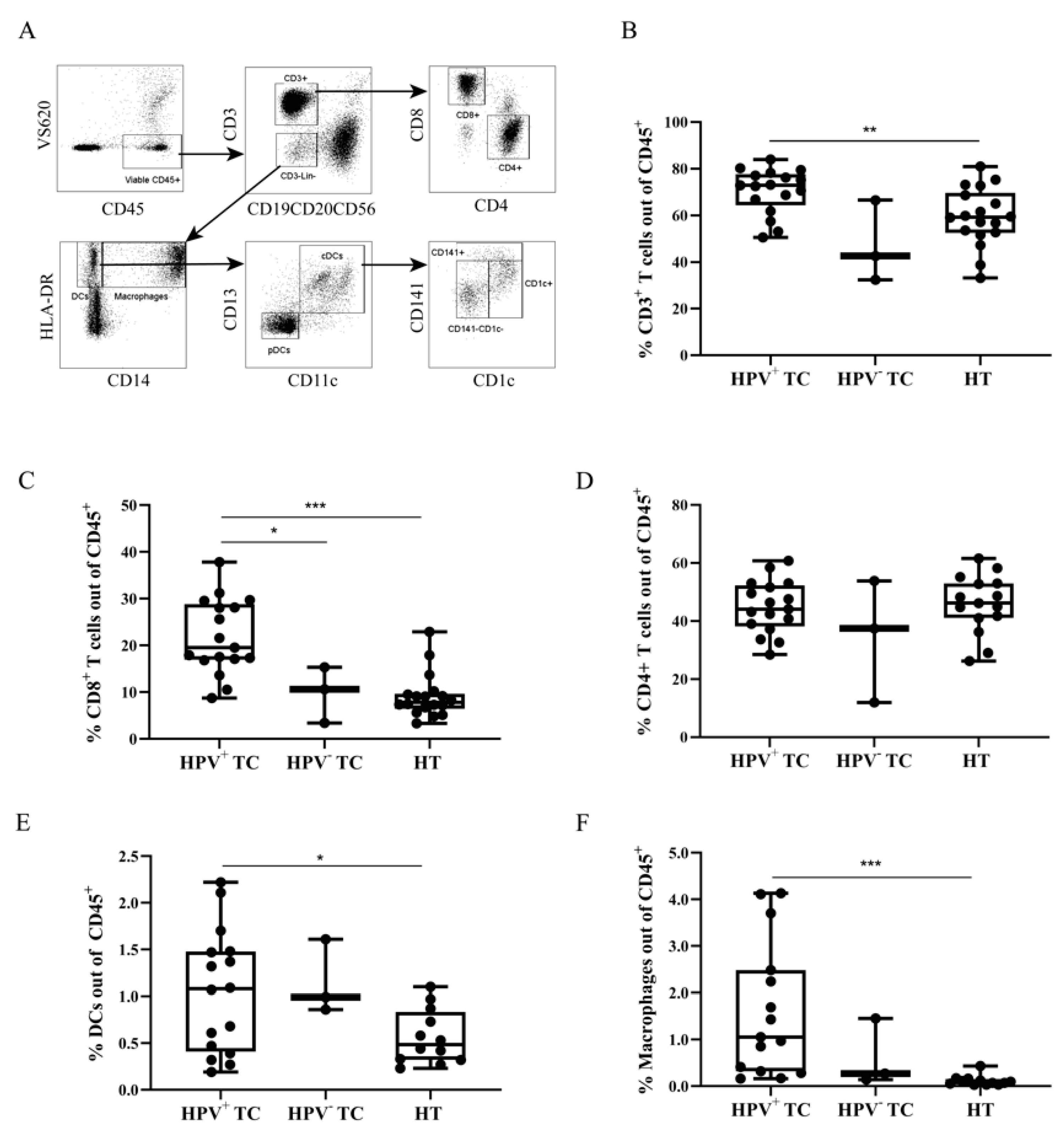 Cancers 13 05341 g002 Cancers 13 05341 g002
